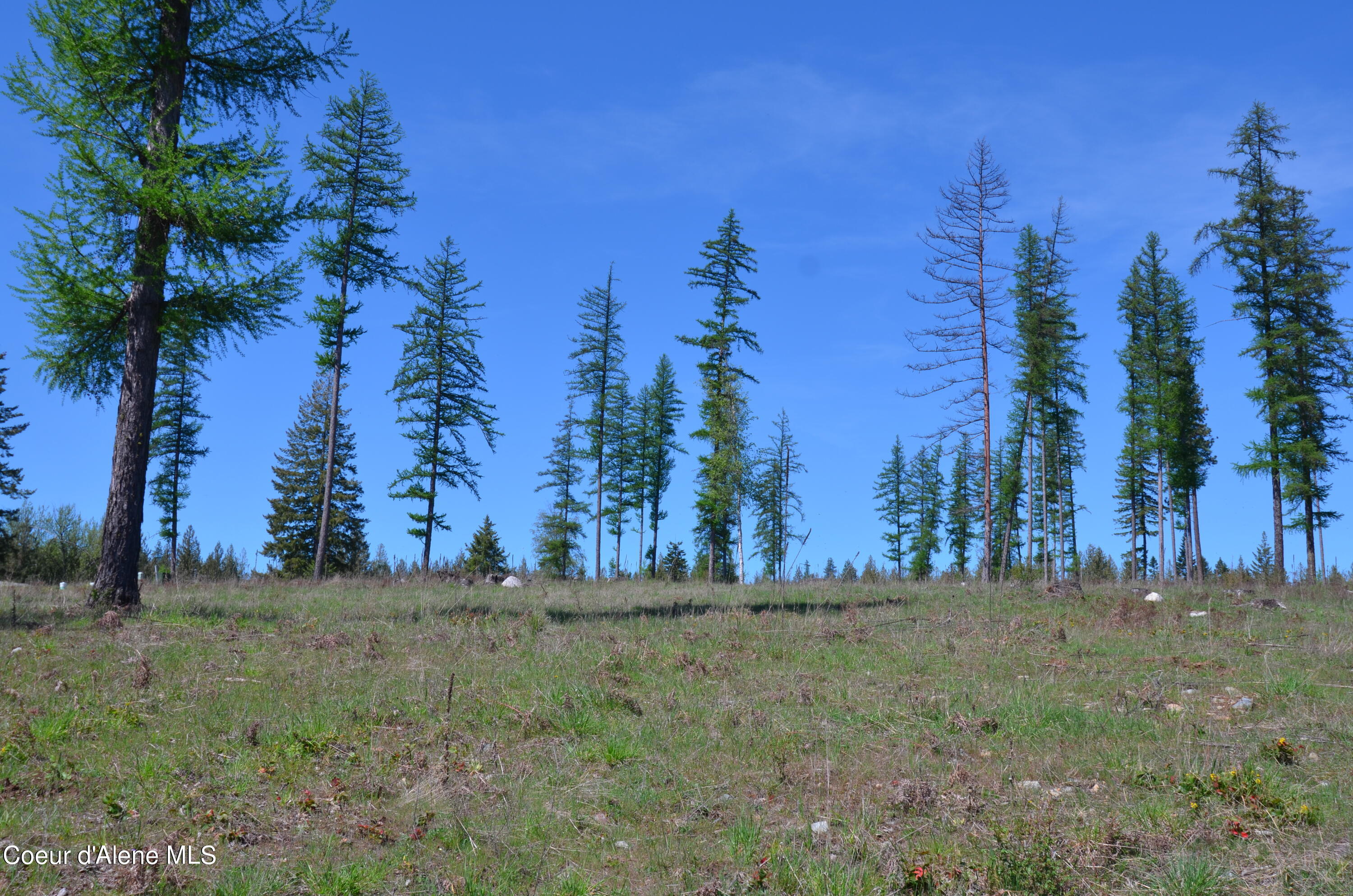Lot 16 Camp Bay Rd, Sagle, Idaho image 14