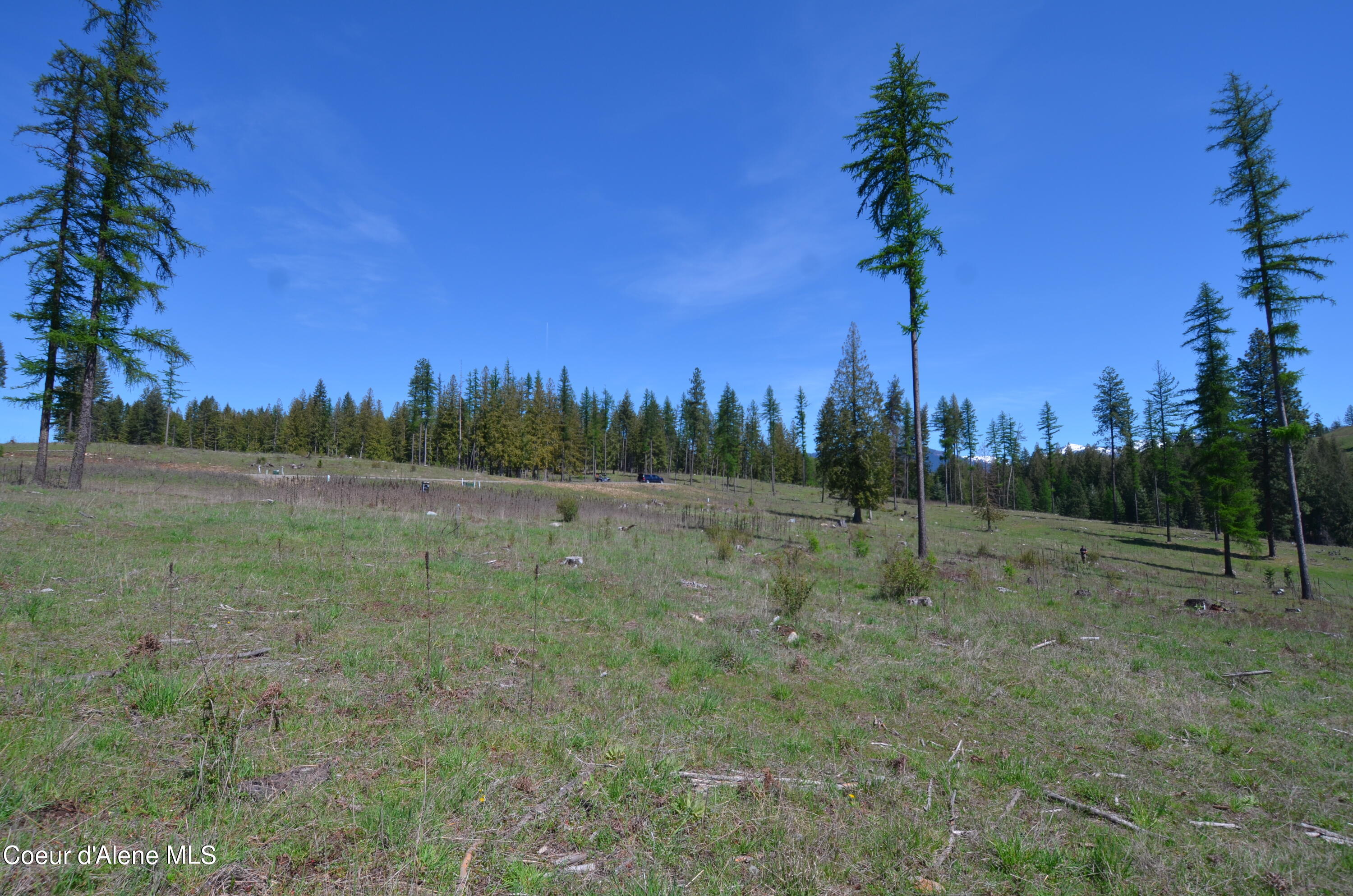 Lot 16 Camp Bay Rd, Sagle, Idaho image 12