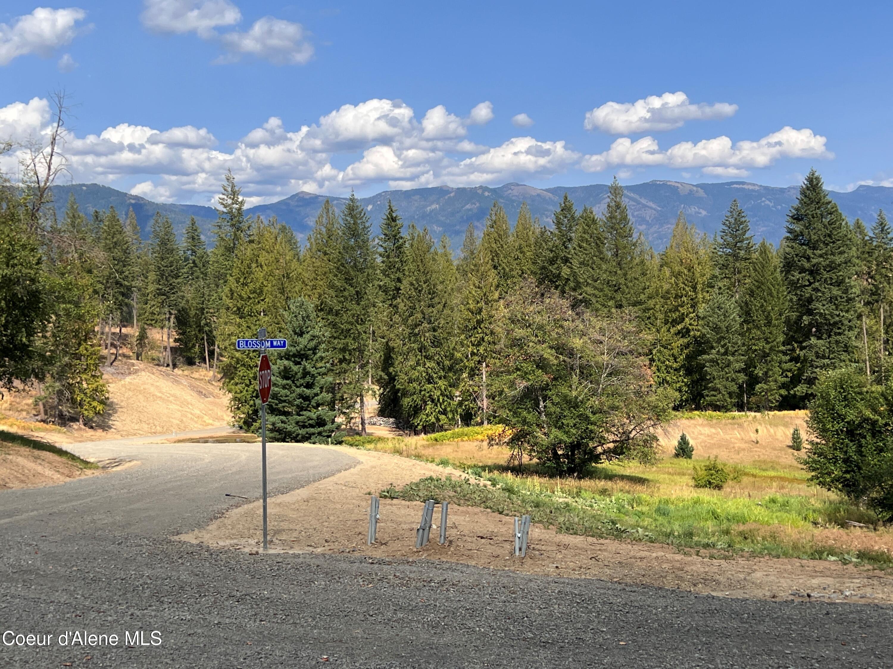 Lot 16 Camp Bay Rd, Sagle, Idaho image 30