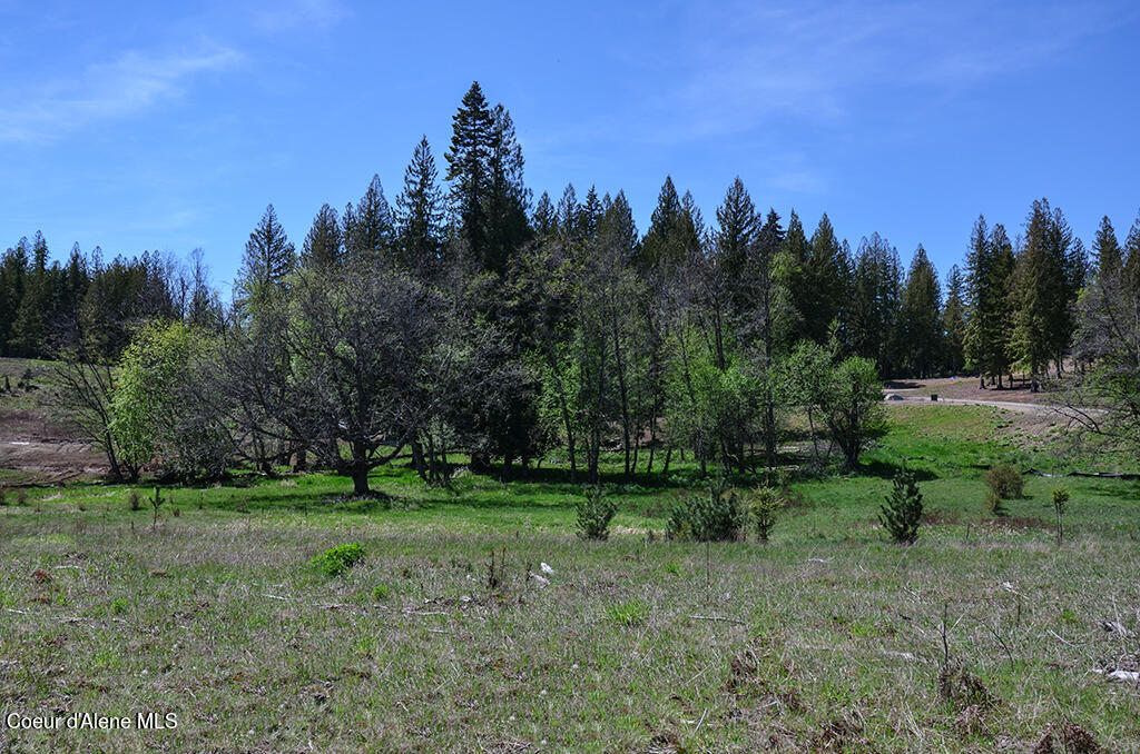 Lot 16 Camp Bay Rd, Sagle, Idaho image 23