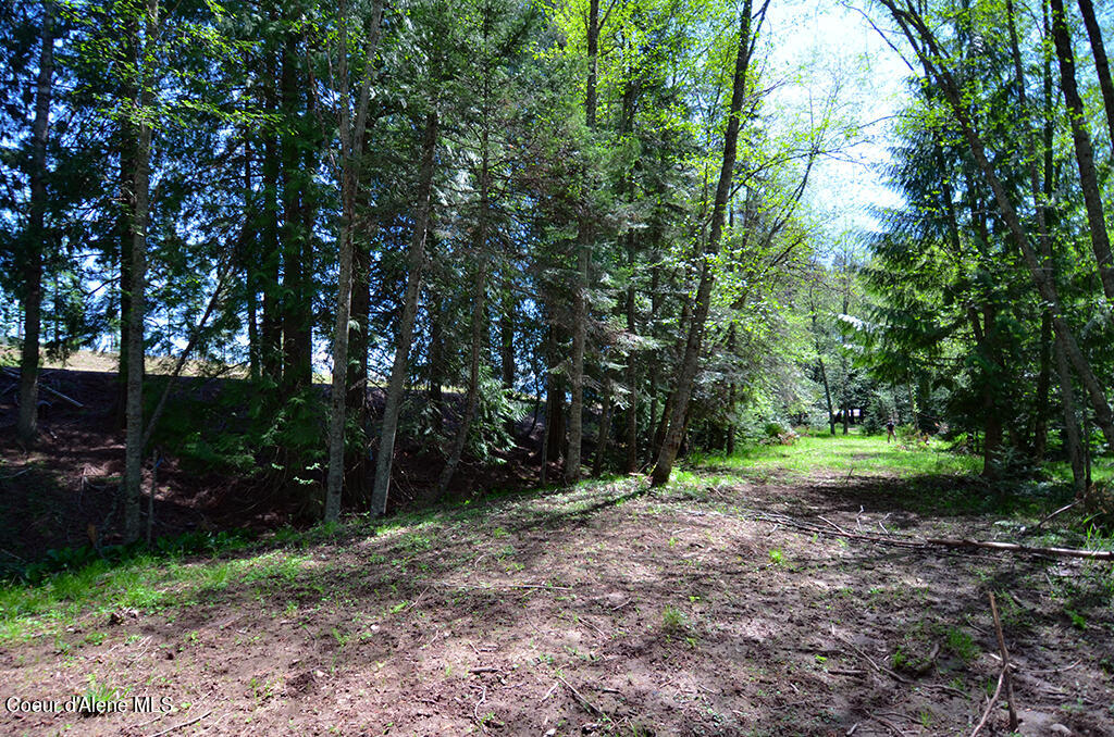 Lot 16 Camp Bay Rd, Sagle, Idaho image 22