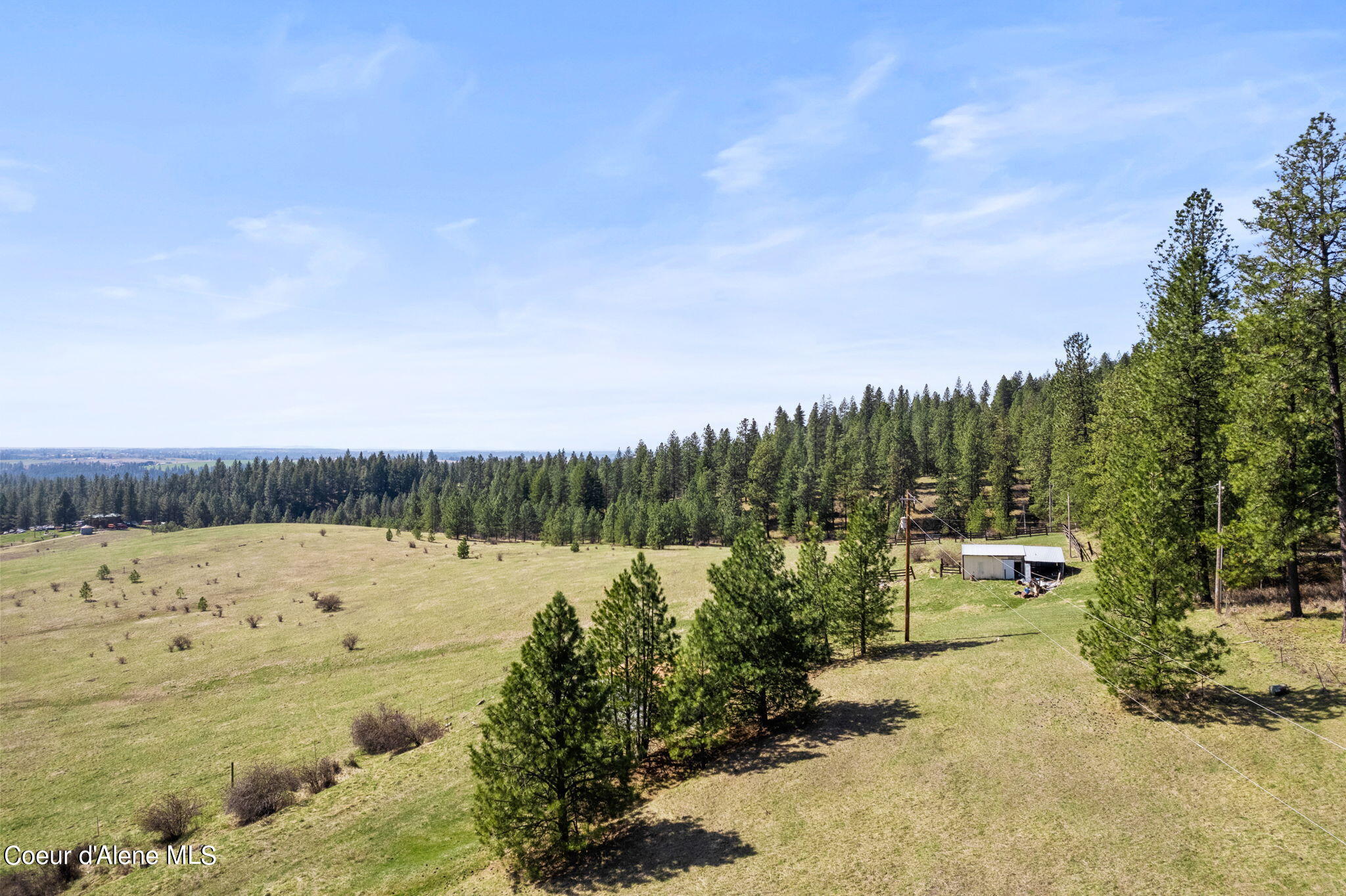 15809 N Scribner Branch, Spokane, Washington image 9