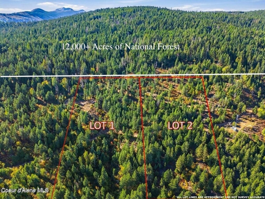Photo of LT 1/LT 2 Juniper, Naples, ID 83847 (MLS # 26-10288)