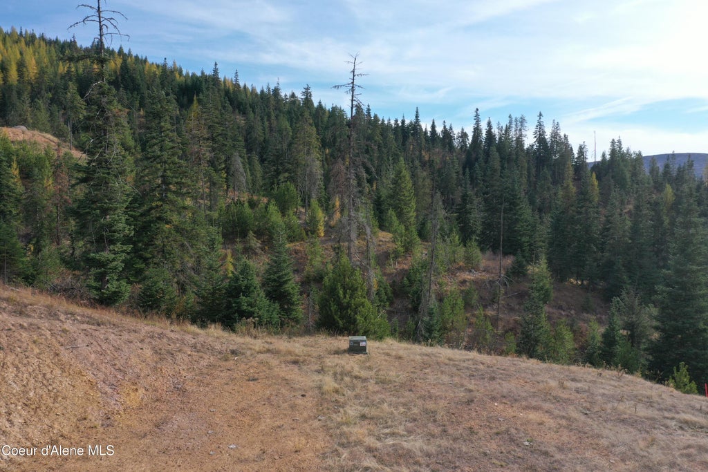 Photo of NKA Carpenter Creek Creek, Fernwood, ID 83830 (MLS # 26-10347)