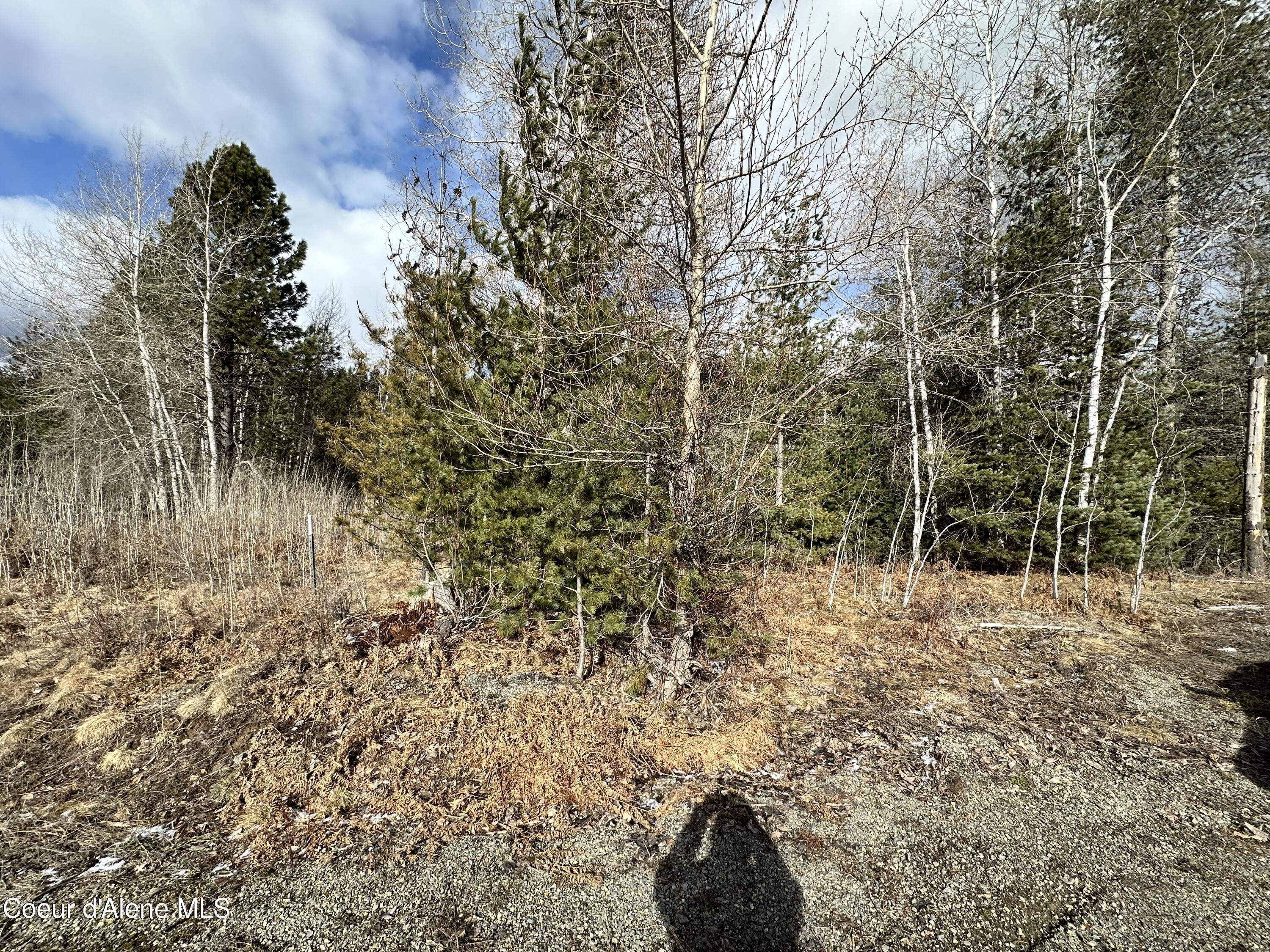 Pinehurst, Idaho 83850, United States, ,Land,Pending,50849