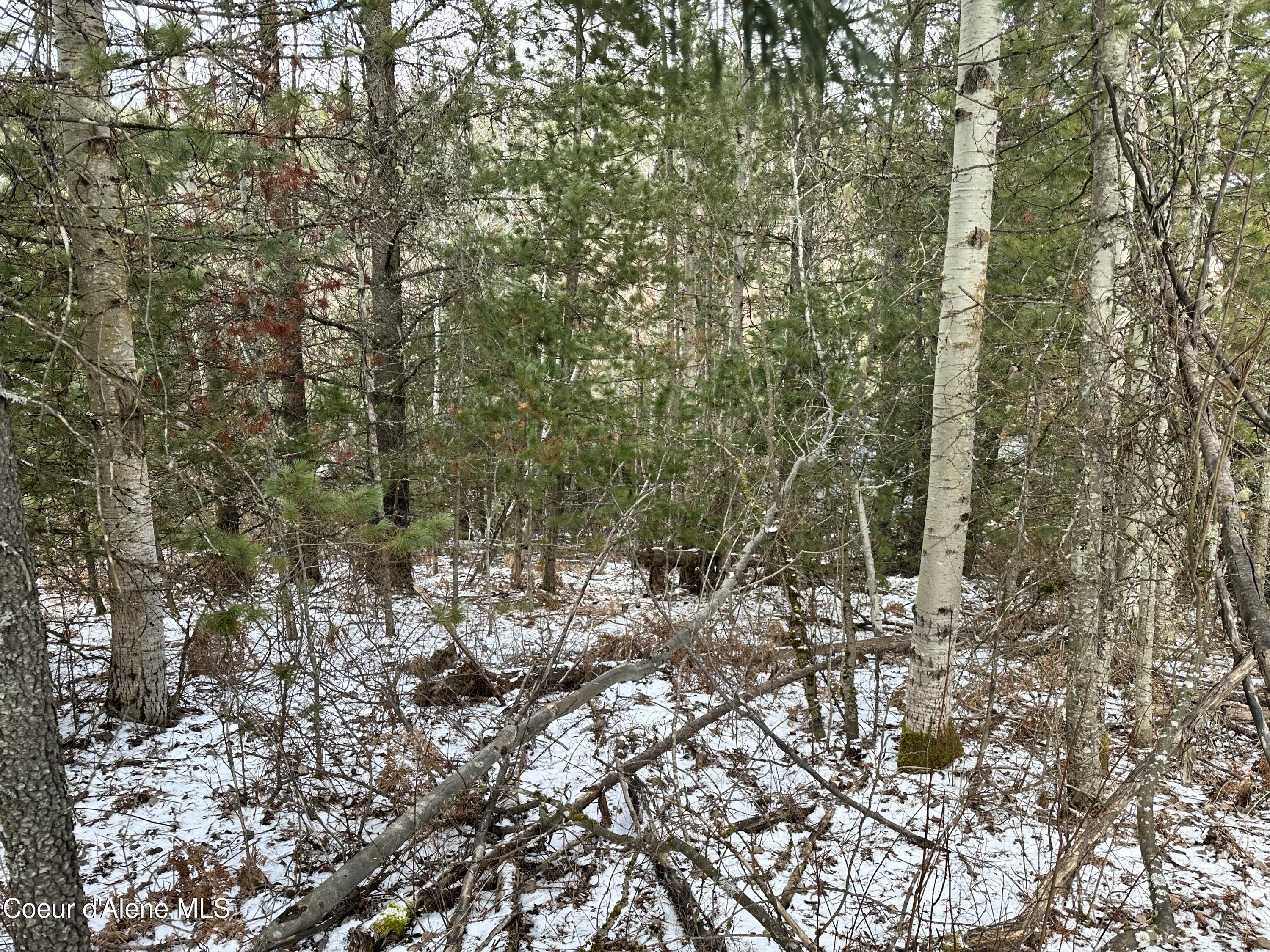 Pinehurst, Idaho 83850, United States, ,Land,Pending,50849