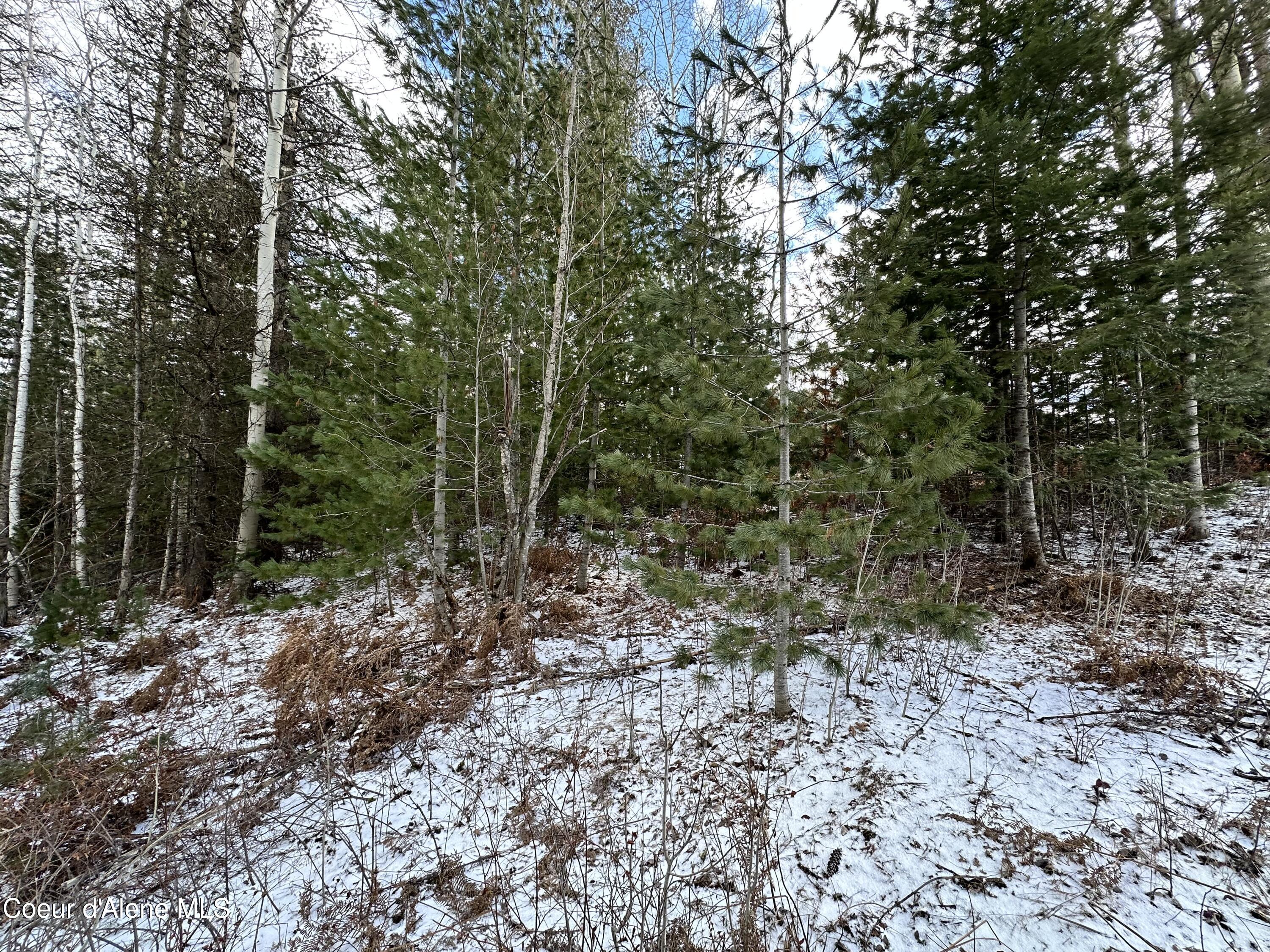 Pinehurst, Idaho 83850, United States, ,Land,Pending,50849