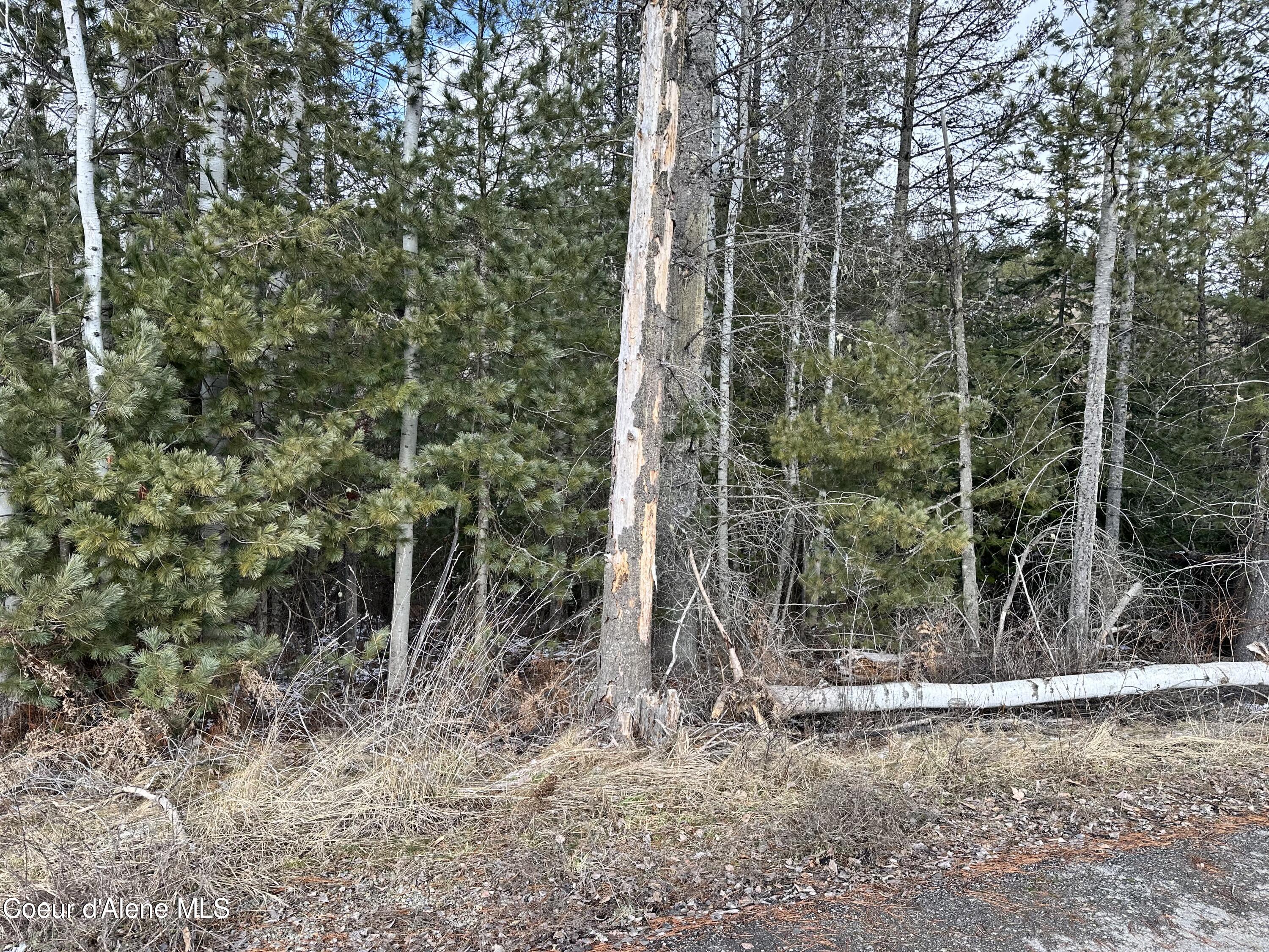 Pinehurst, Idaho 83850, United States, ,Land,Pending,50849