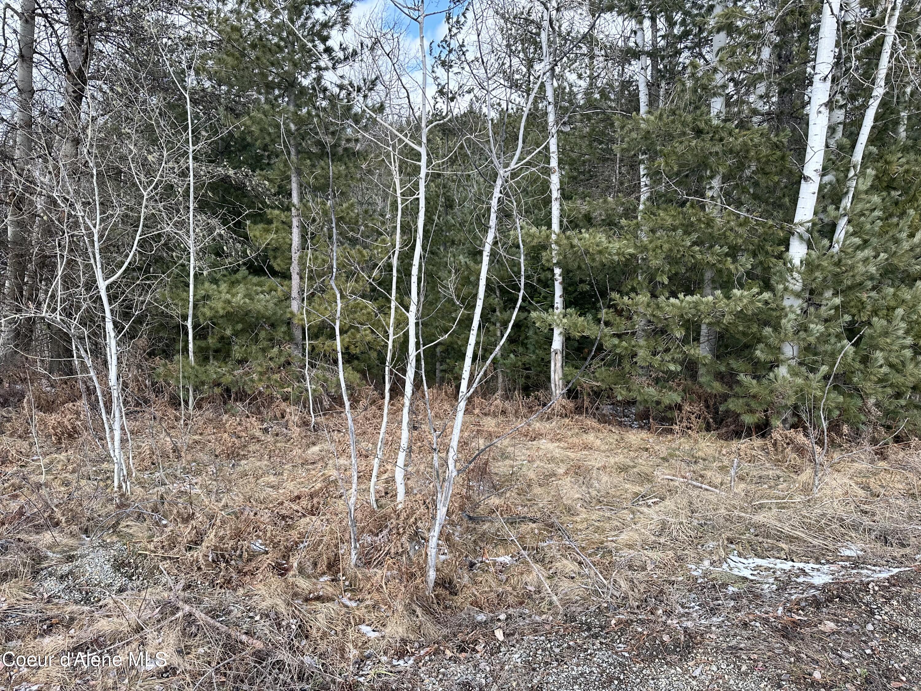 Pinehurst, Idaho 83850, United States, ,Land,Pending,50849