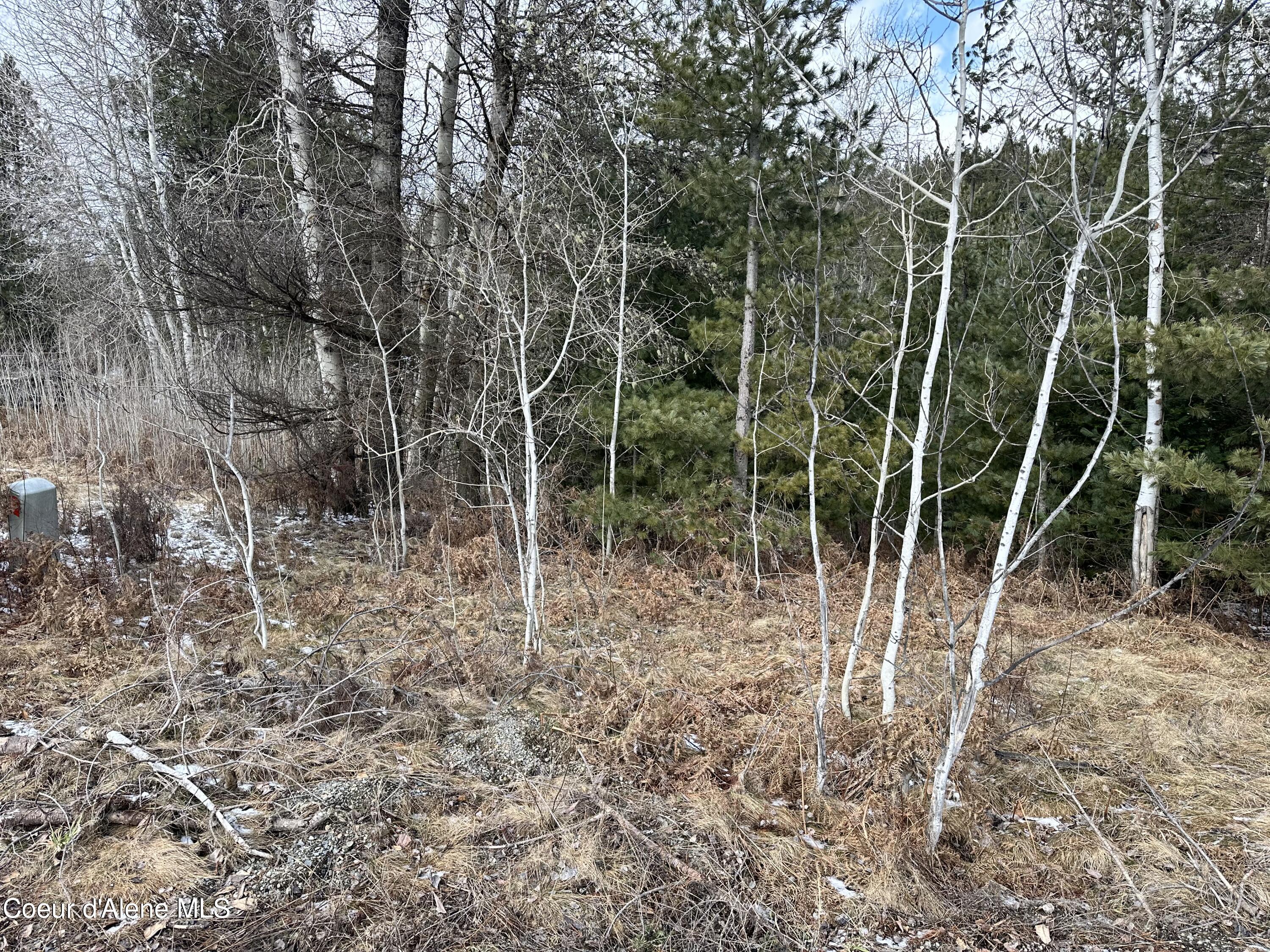 Pinehurst, Idaho 83850, United States, ,Land,Pending,50849