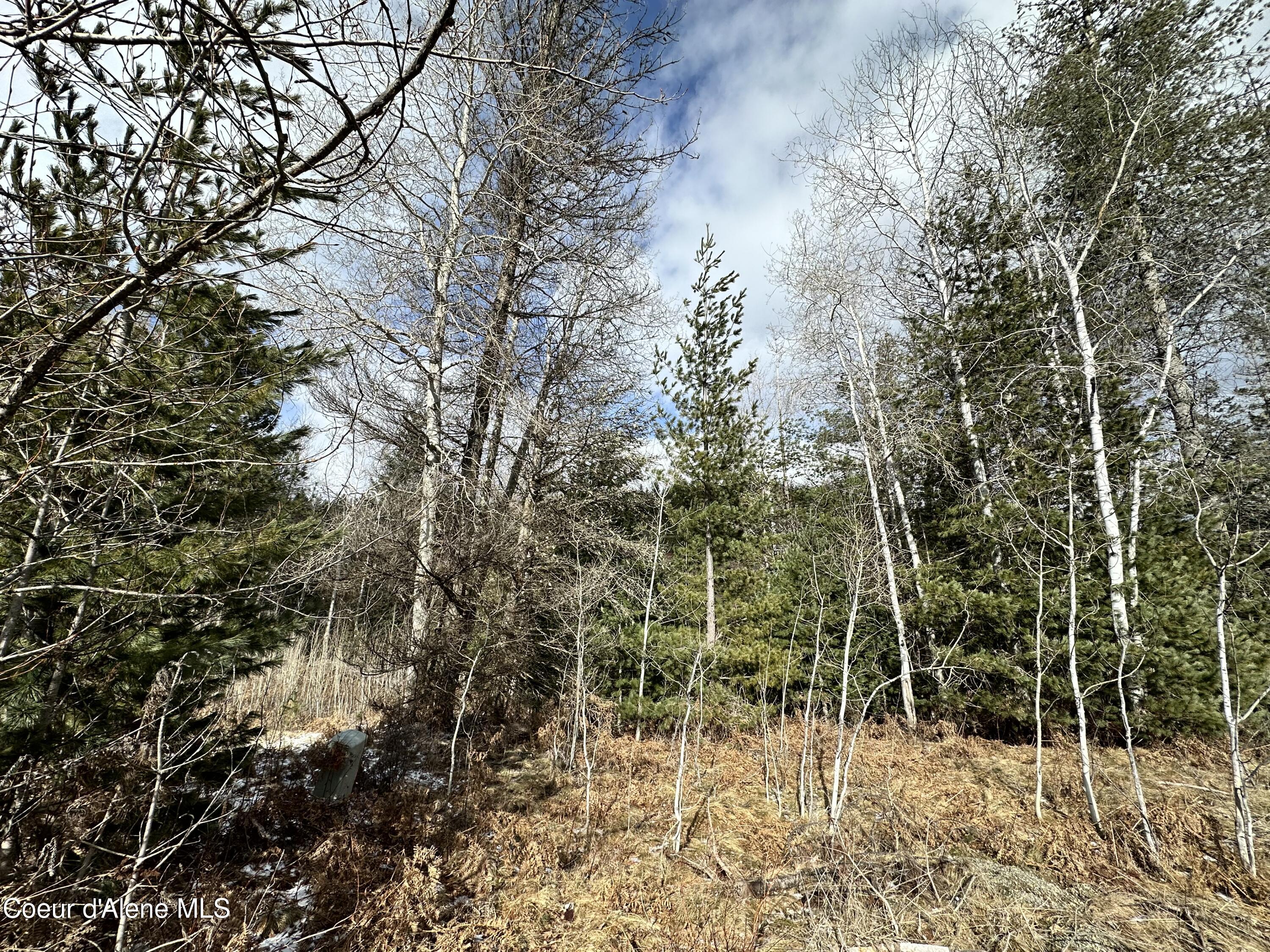 Pinehurst, Idaho 83850, United States, ,Land,Pending,50849