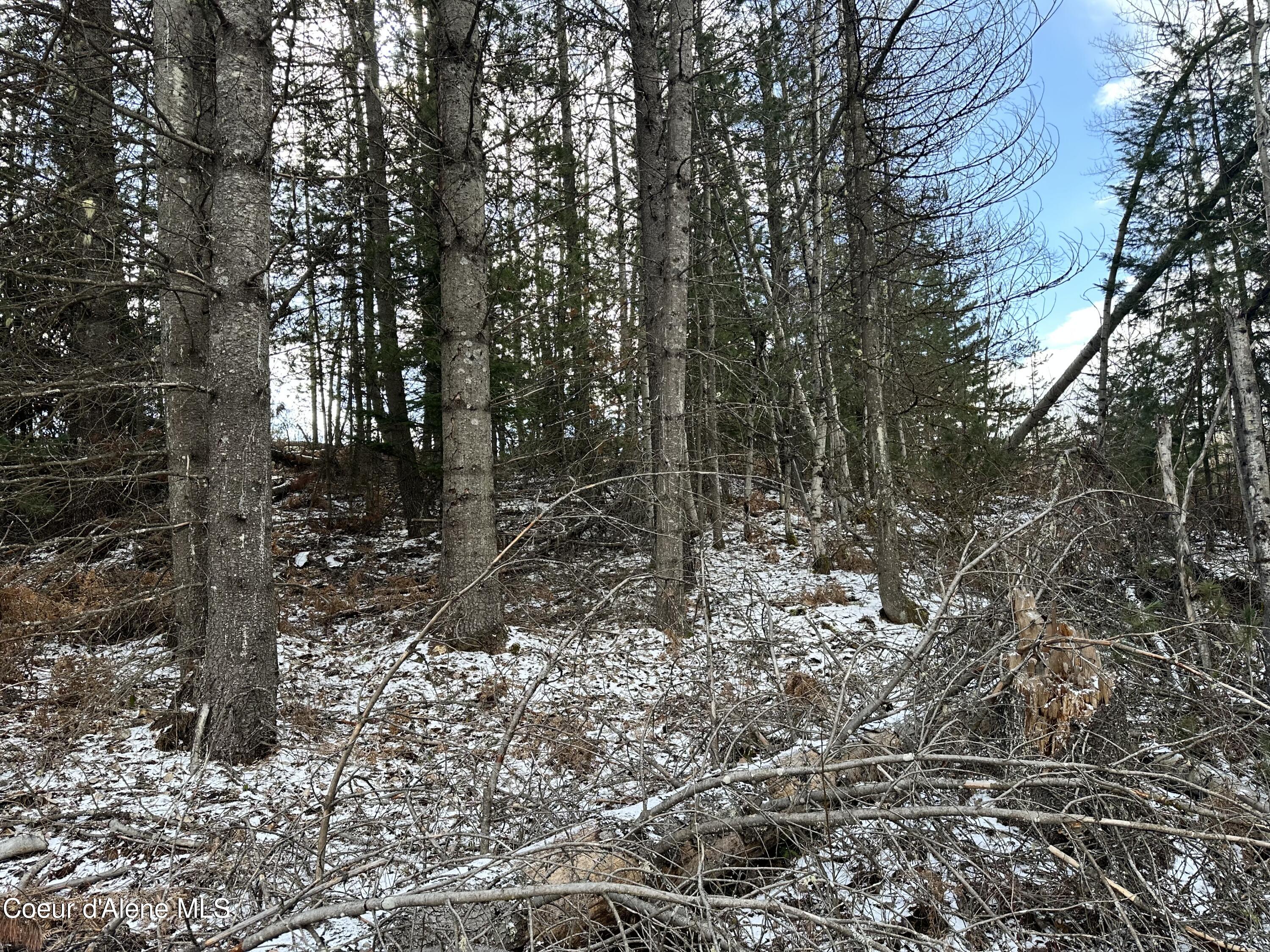 Pinehurst, Idaho 83850, United States, ,Land,Pending,50849