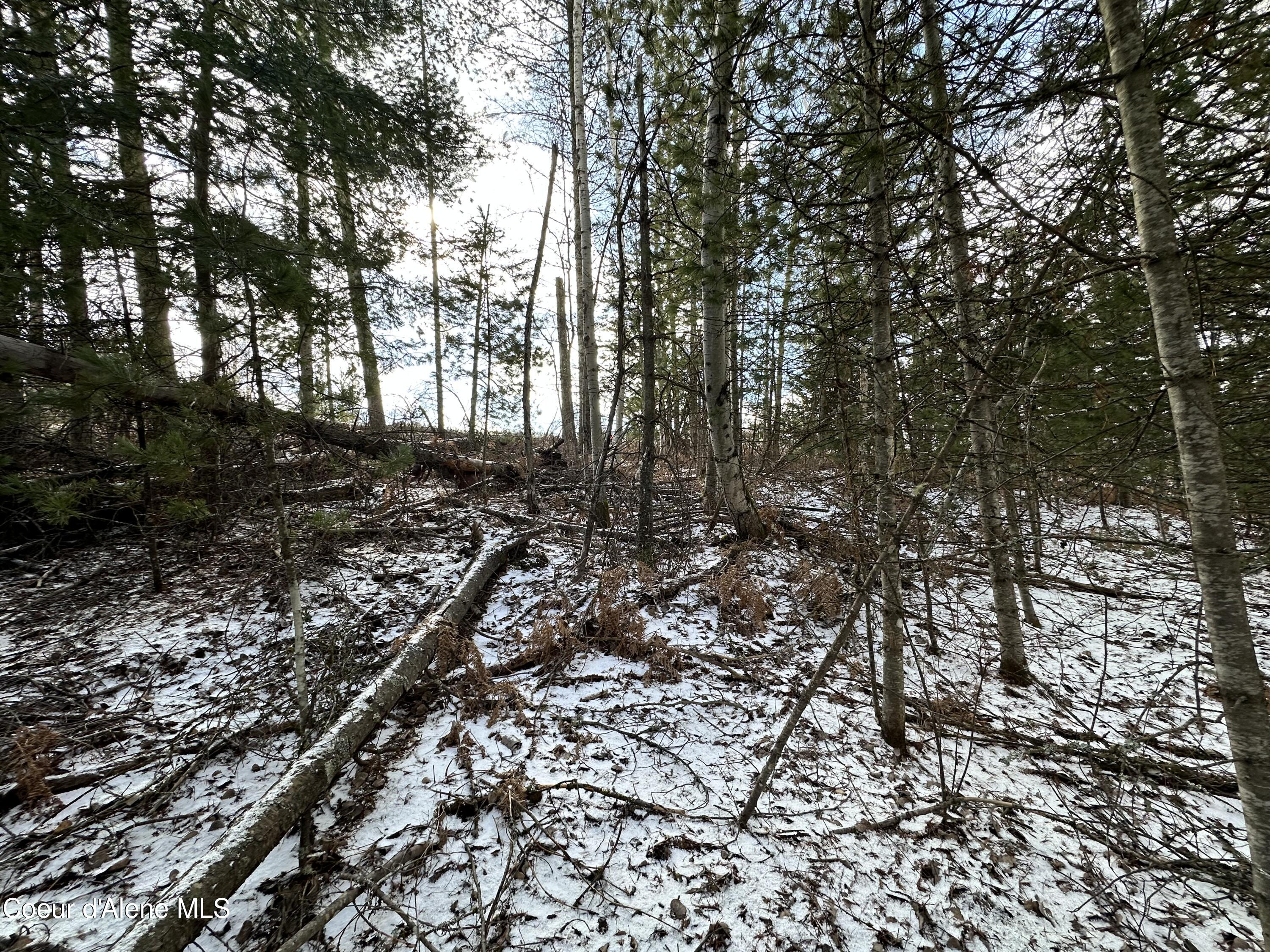 Pinehurst, Idaho 83850, United States, ,Land,Pending,50849