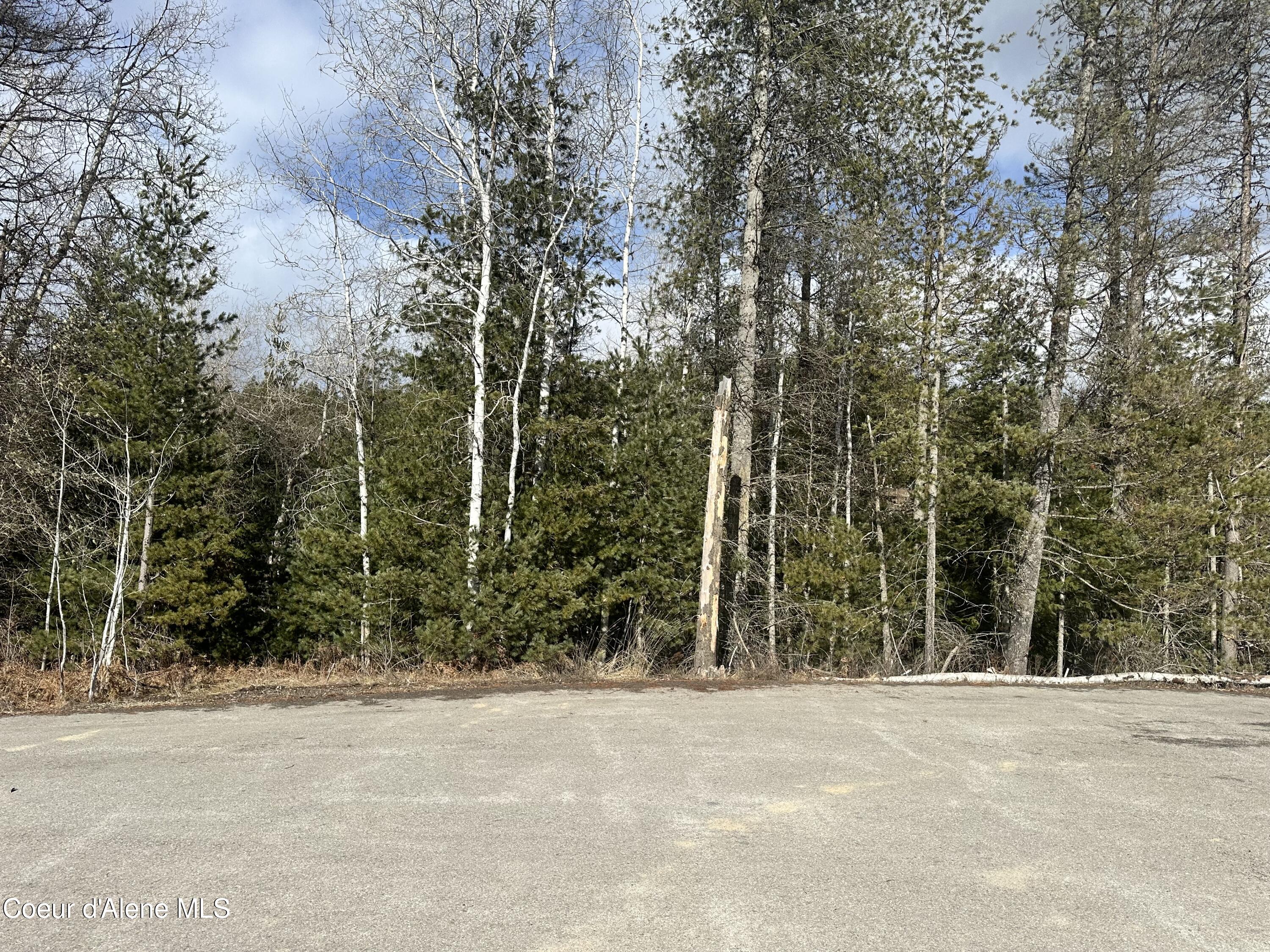 Pinehurst, Idaho 83850, United States, ,Land,Pending,50849