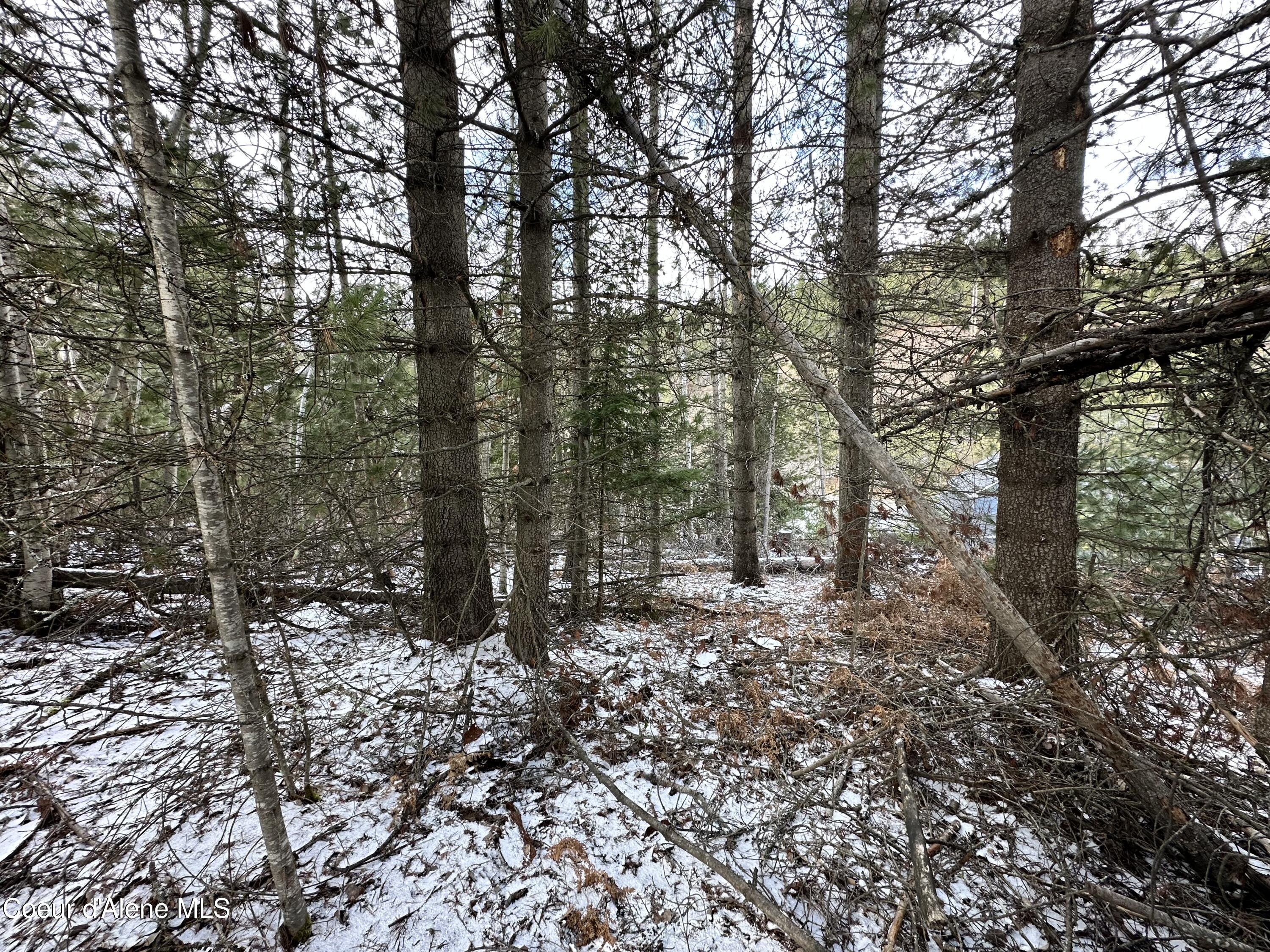 Pinehurst, Idaho 83850, United States, ,Land,Pending,50849