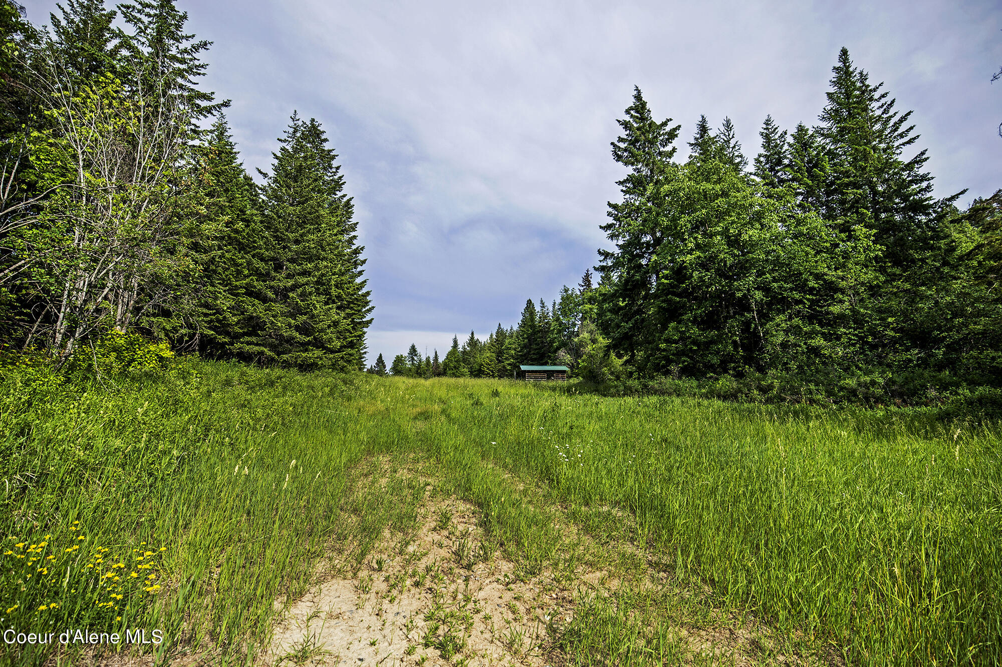 139 Two Tail Rd, Bonners Ferry, Idaho image 5