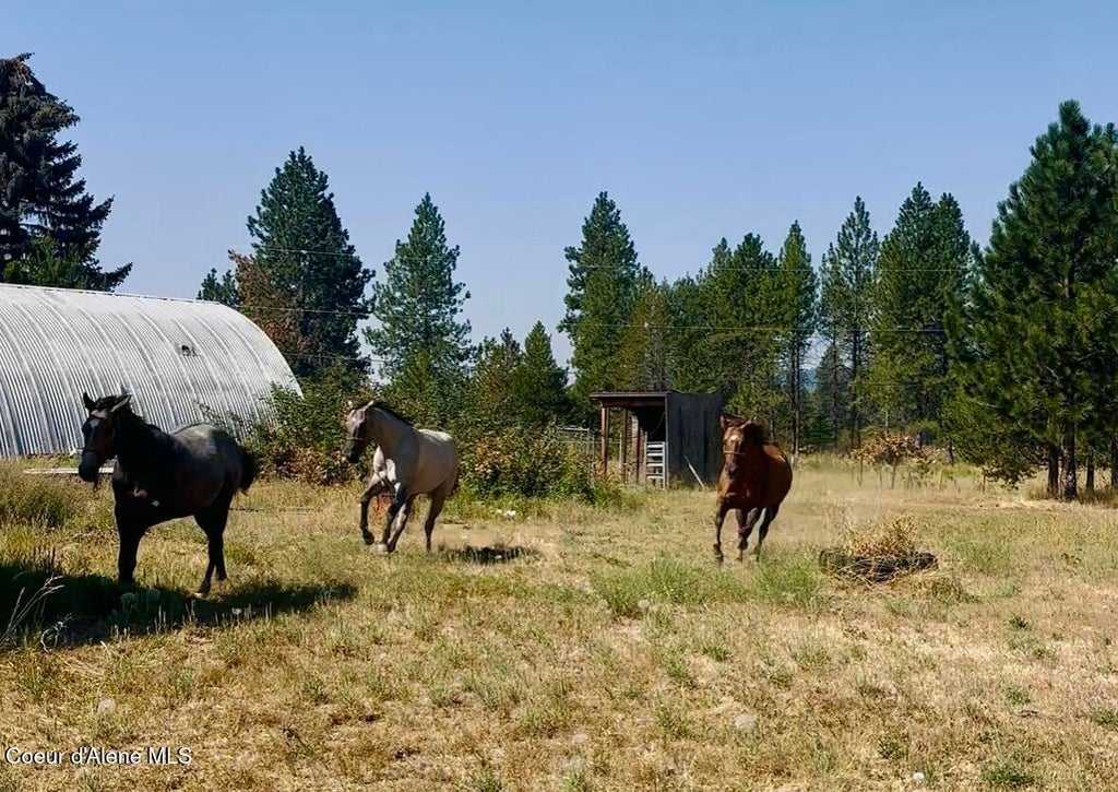 Photo of 16155 Mountain View View, Rathdrum, ID 83858 (MLS # 26-8761)