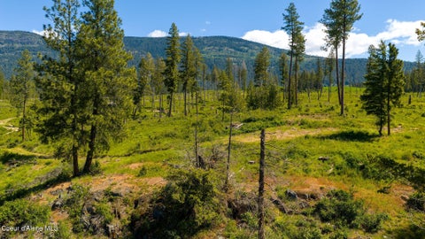 Vacant Land For Sale - NNA This Way Rd Lot 3<br/> Bonners Ferry, ID 83805