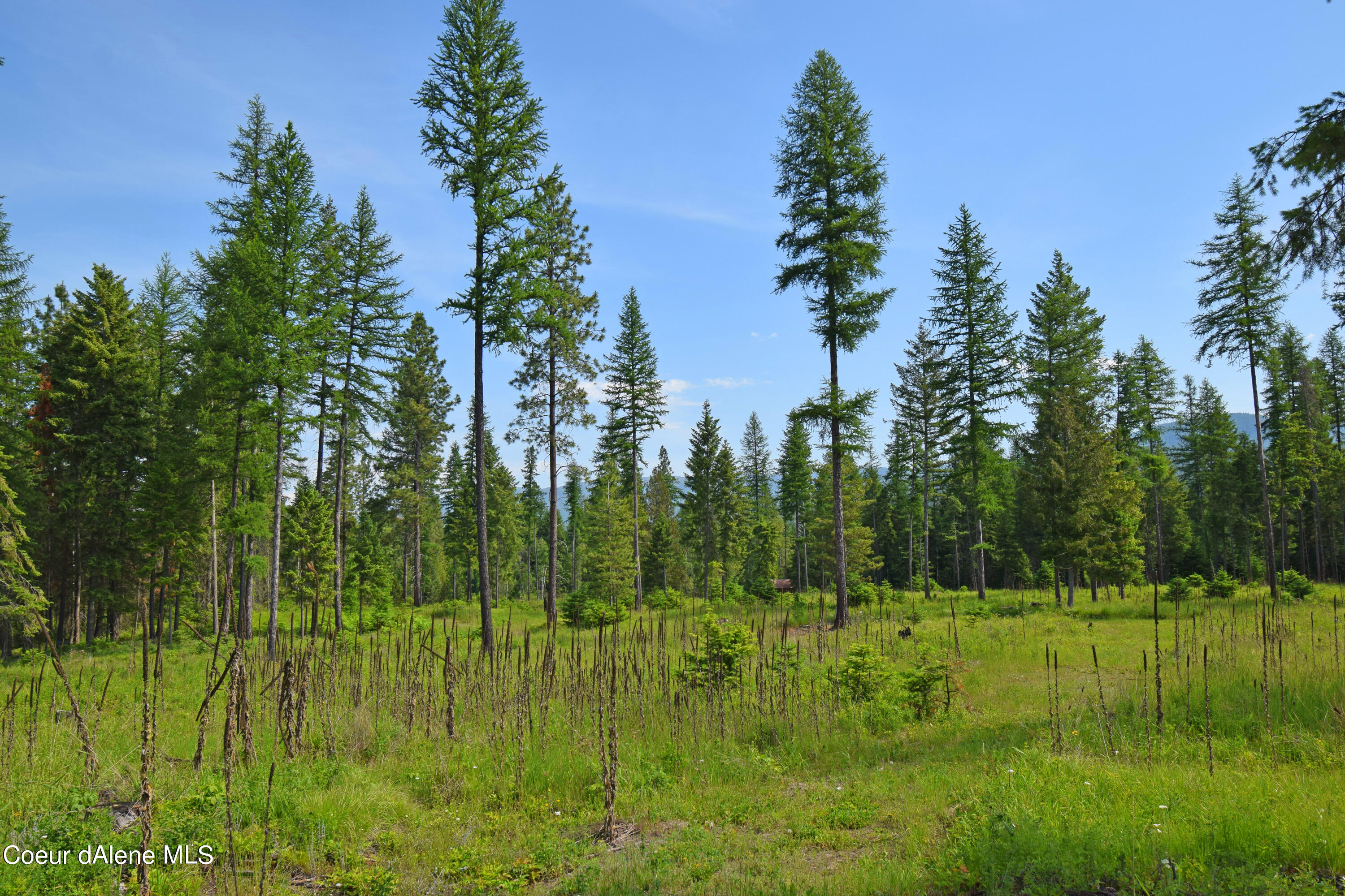 NNA Rebel Way, Bonners Ferry, Idaho image 7