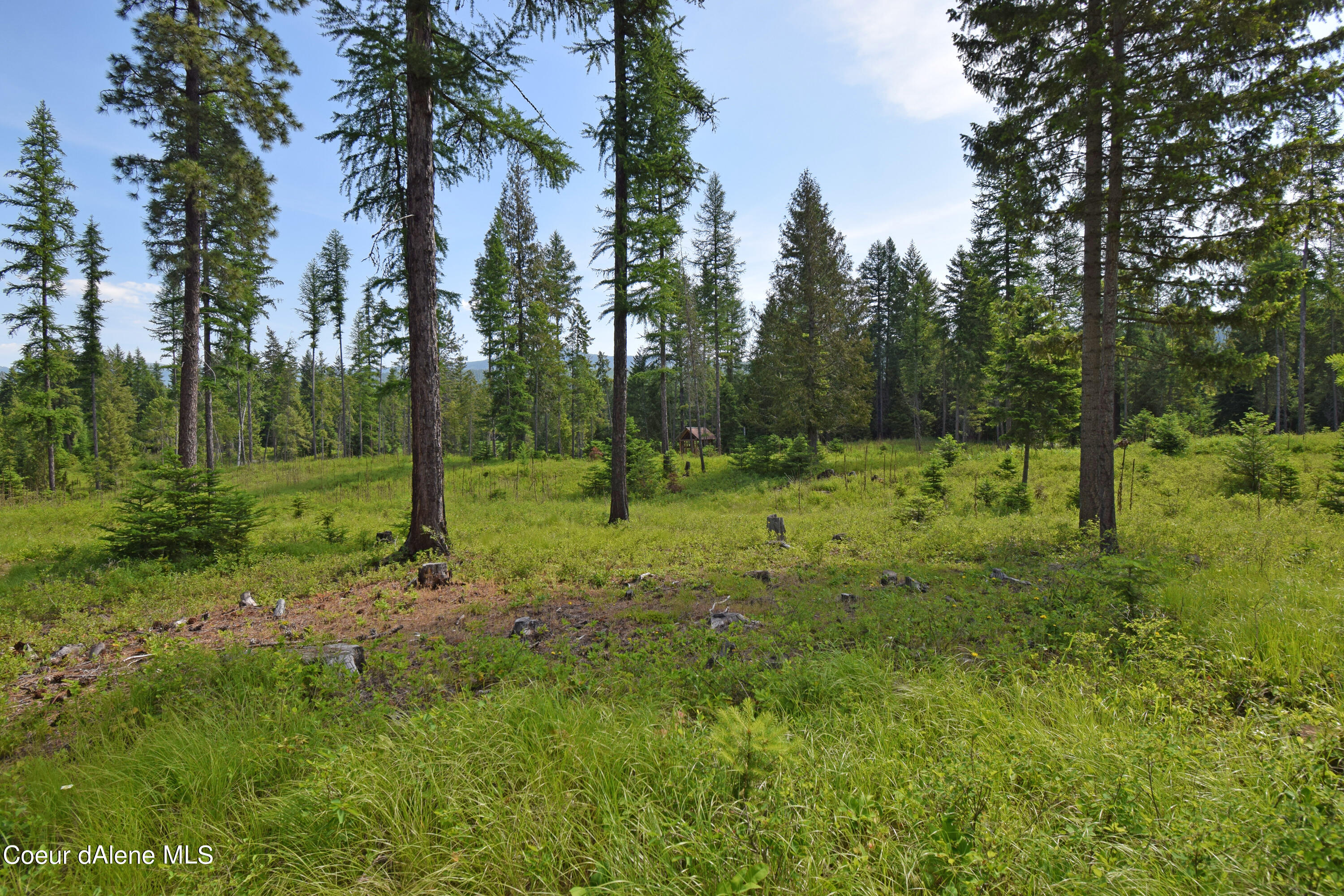 NNA Rebel Way, Bonners Ferry, Idaho image 3