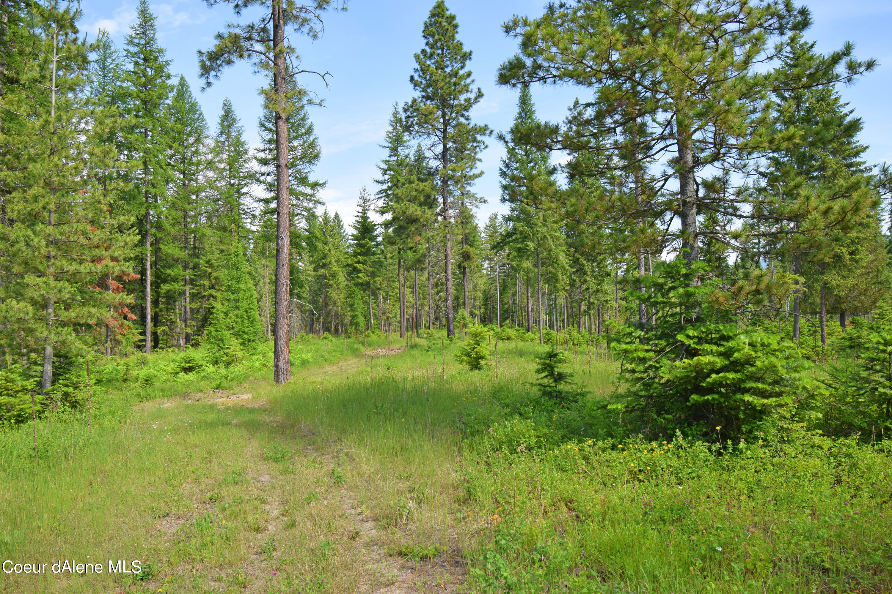 NNA Rebel Way, Bonners Ferry, Idaho image 10