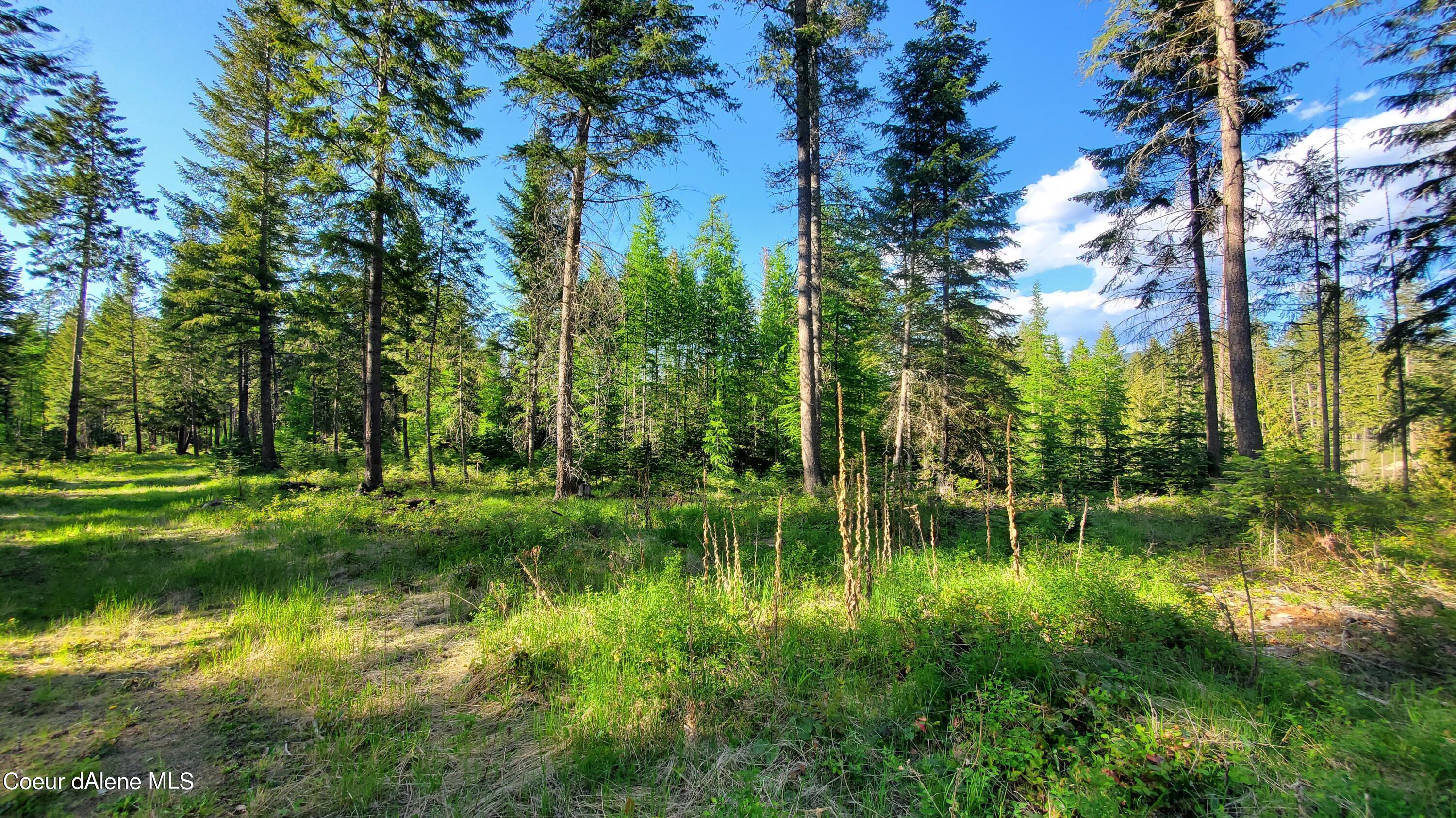 NNA Rebel Way, Bonners Ferry, Idaho image 13