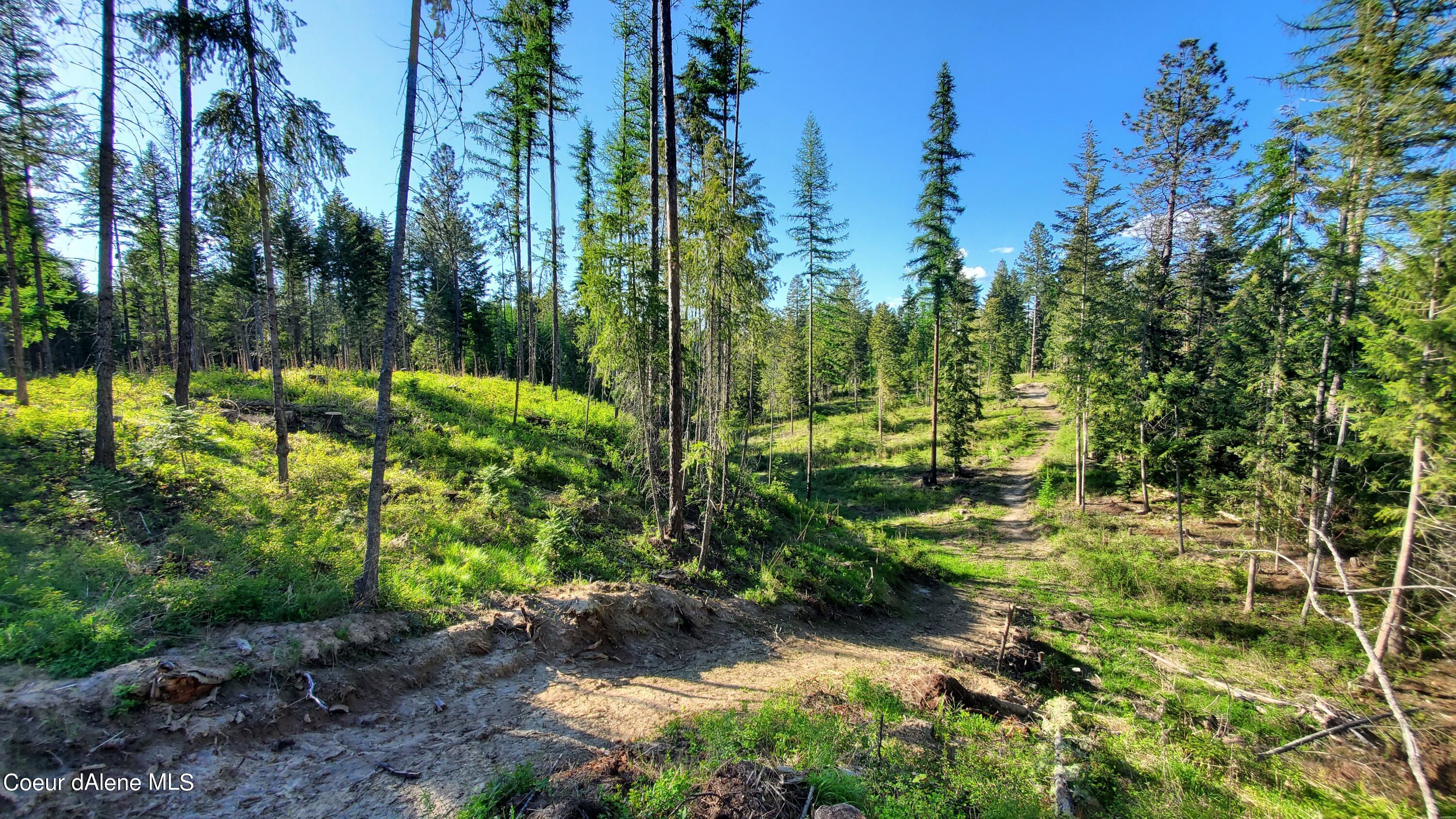 NNA Rebel Way, Bonners Ferry, Idaho image 21