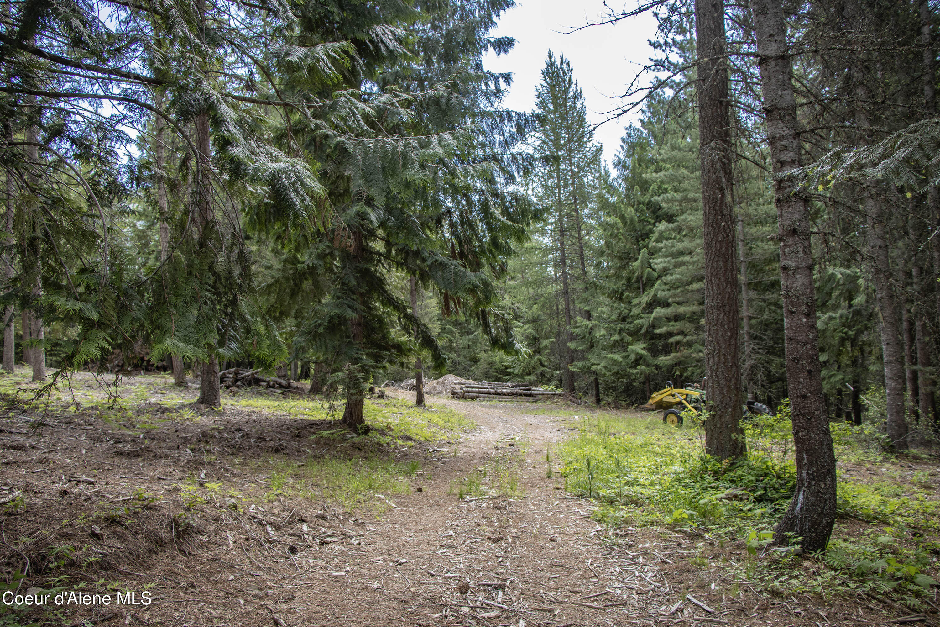 2864 Blacktail Rd, Cocolalla, Alaska image 24