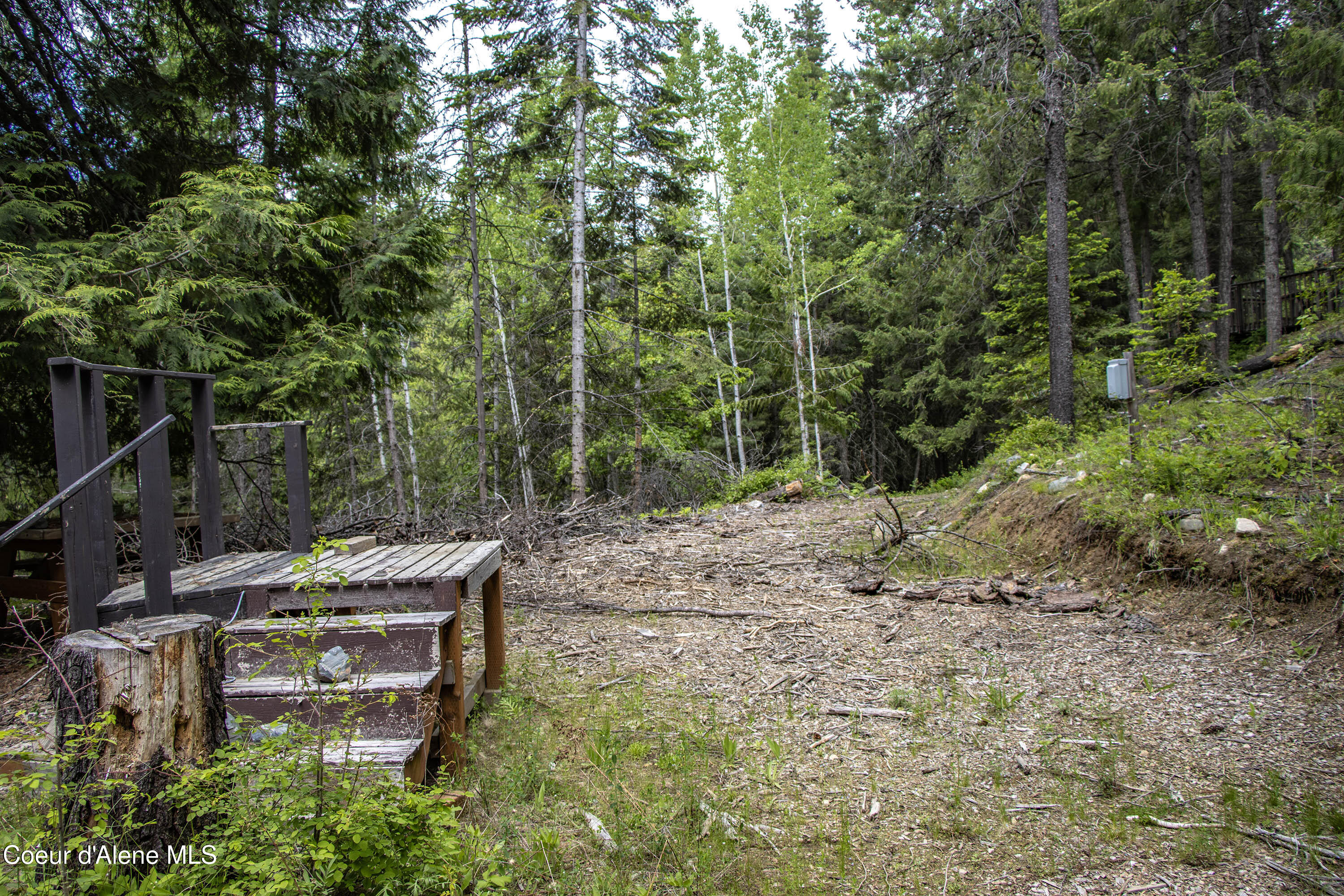 2864 Blacktail Rd, Cocolalla, Alaska image 23