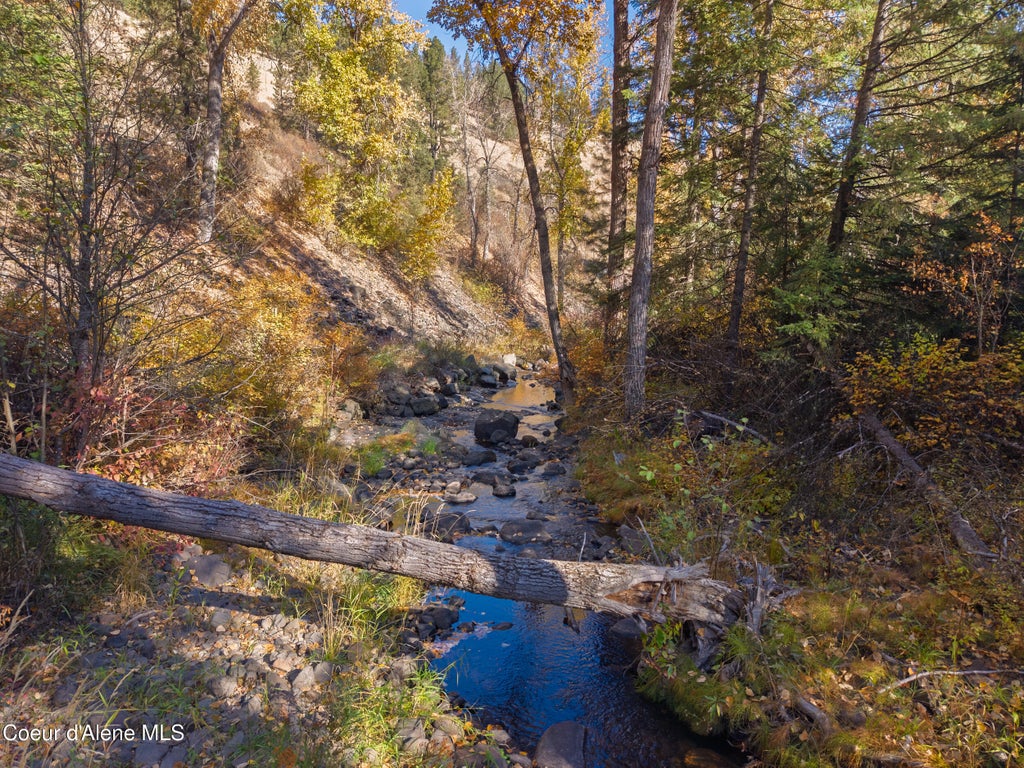 Photo of 1005 Blake Creek Creek, St. Maries, ID 83861 (MLS # 26-10259)