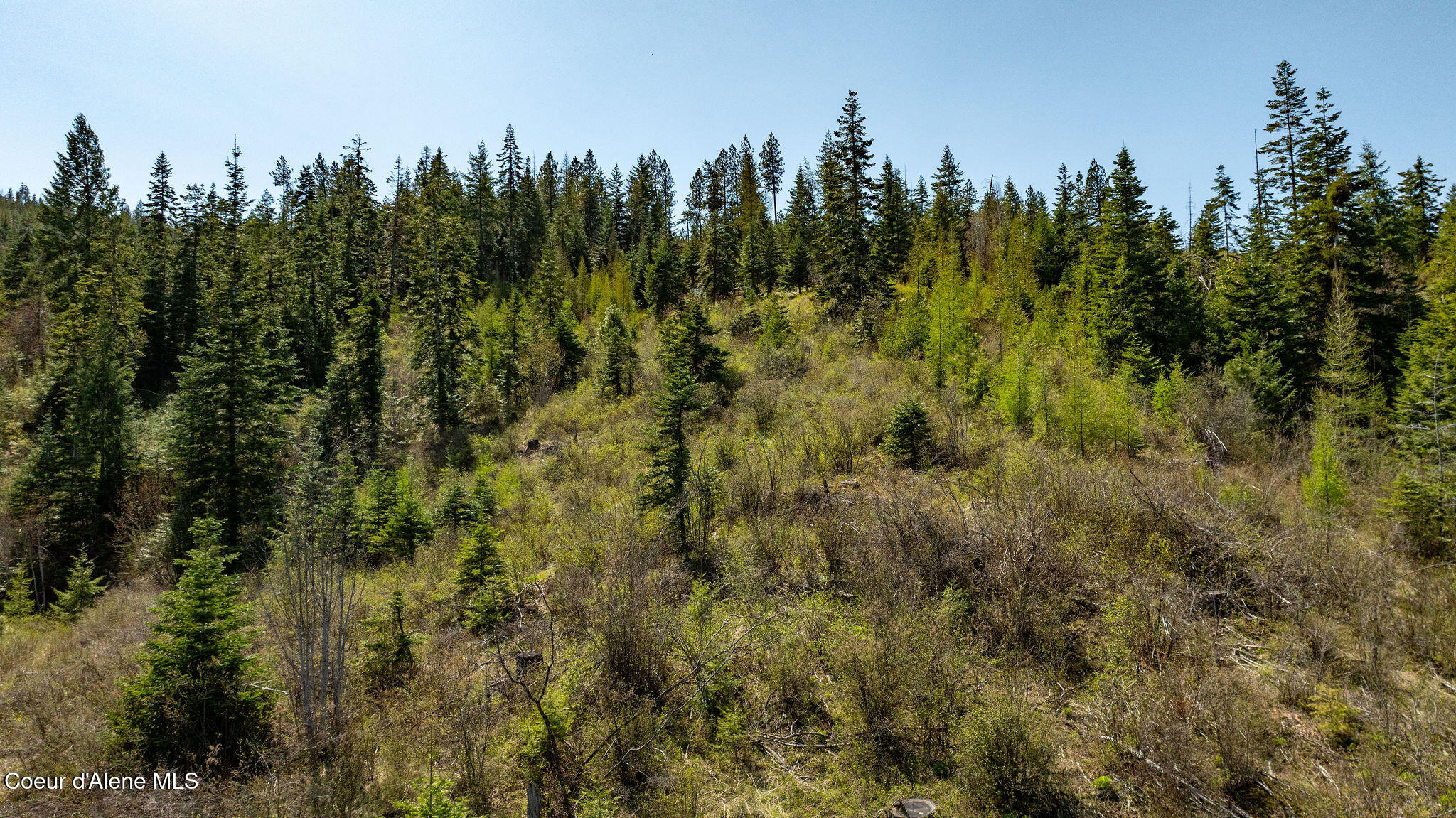 11817 W Garrett Ct, Post Falls, Idaho image 3