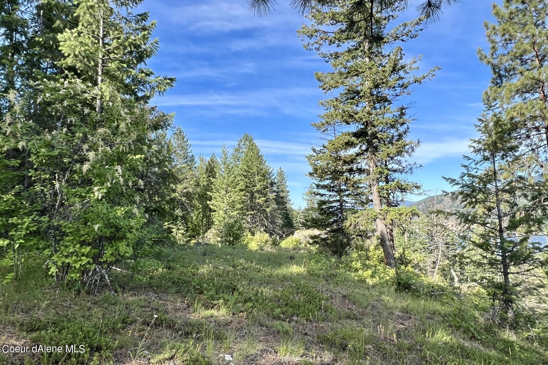 NNA Lot 27 Luna Ridge, Sagle, Idaho image 14