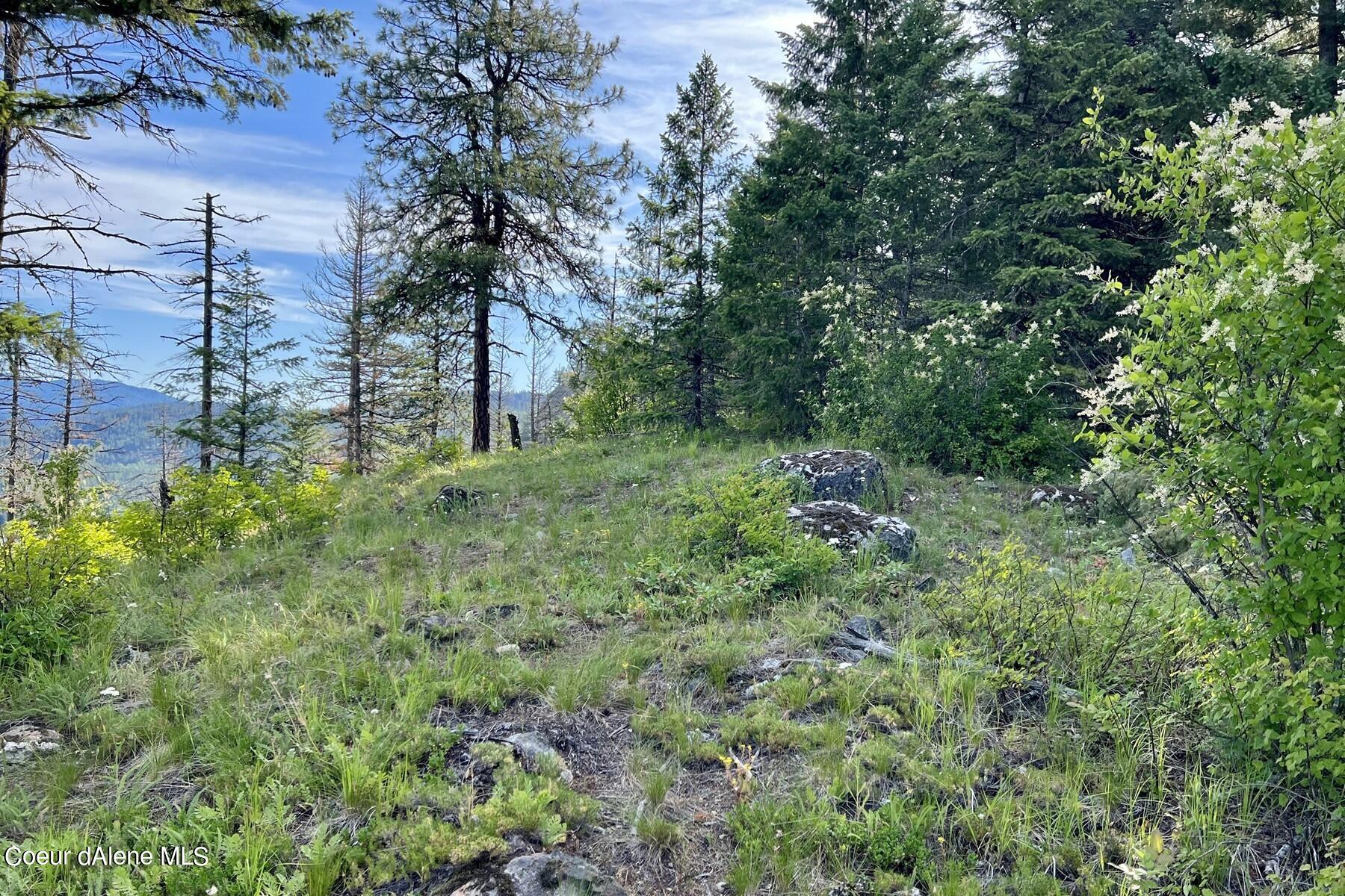 NNA Lot 27 Luna Ridge, Sagle, Idaho image 9