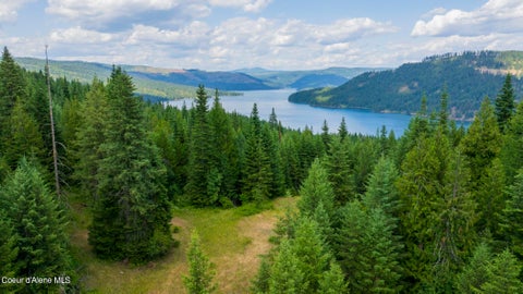Vacant Land For Sale - 7362 Dicks Creek Creek<br/> Kendrick, ID 83537