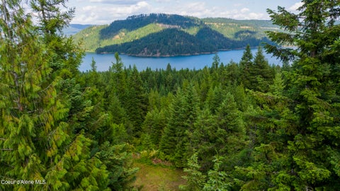 Vacant Land For Sale - 7362 Dicks Creek Creek<br/> Latah County, Kendrick, ID 83537