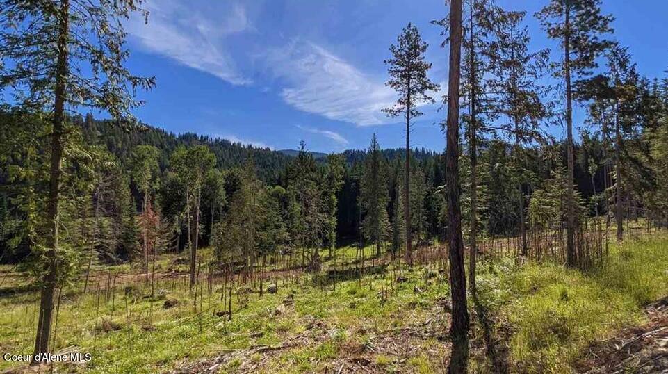 8360 Sunnyside Rd, Sandpoint, Idaho image 3