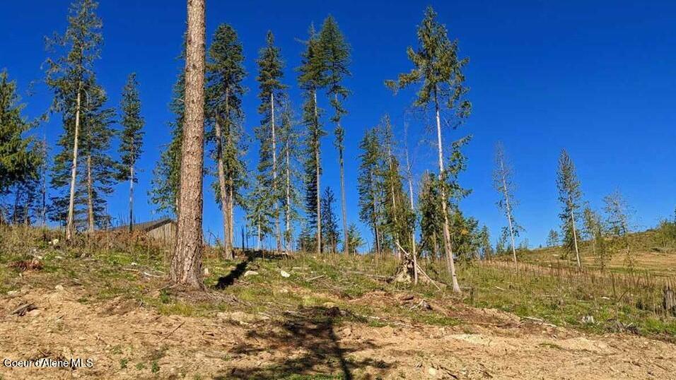 8360 Sunnyside Rd, Sandpoint, Idaho image 6