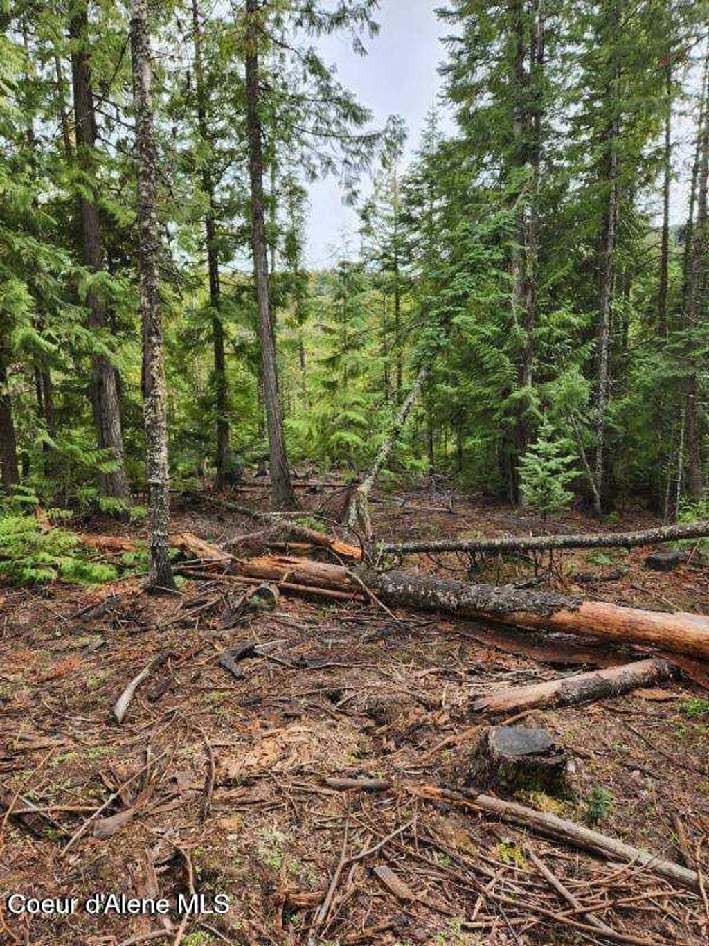 Photo of NKA Middle Fork Santa Creek Creek, St. Maries, ID 83861 (MLS # 26-4996)