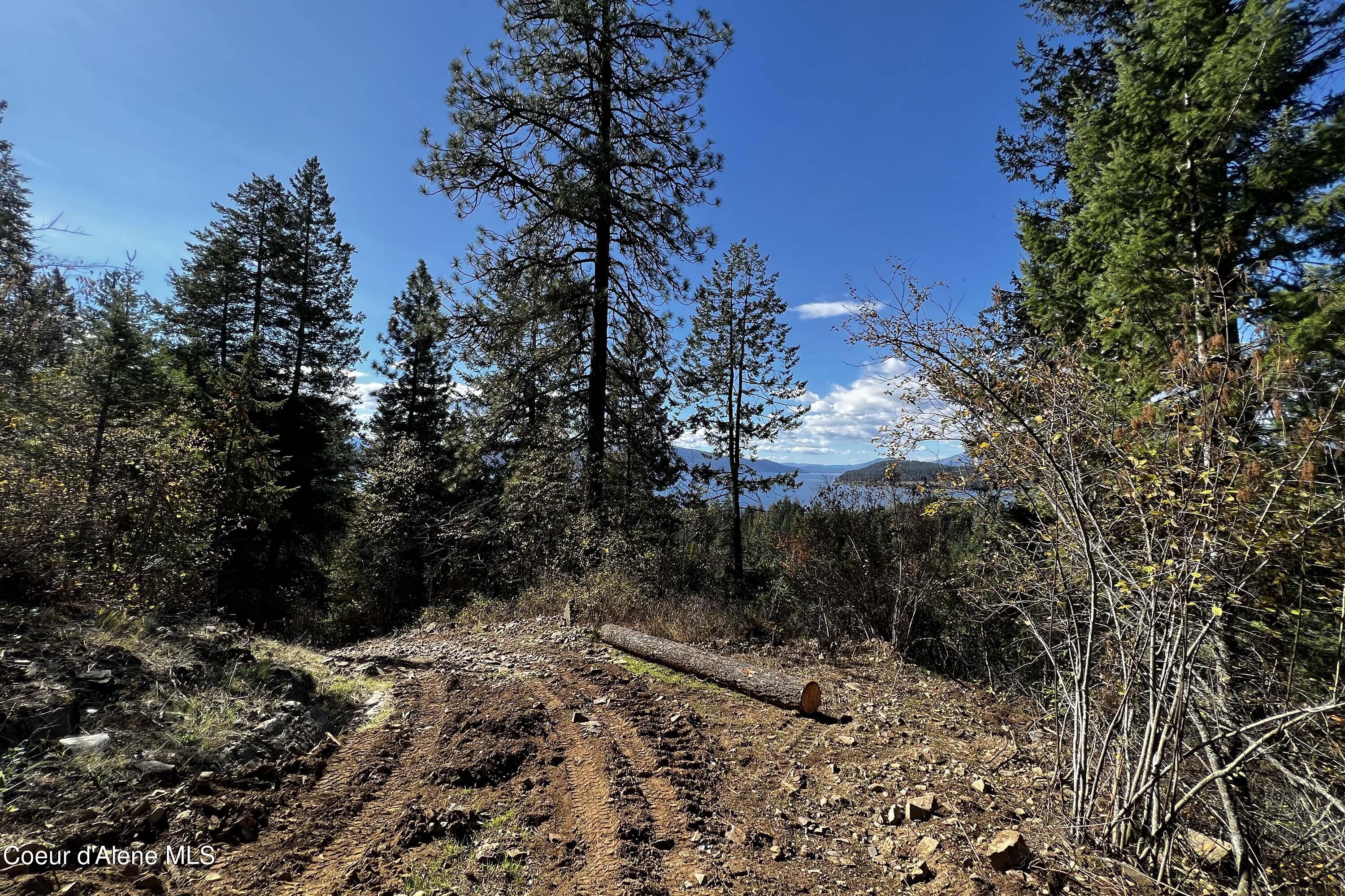 163 Creekside Lane, Hope, Idaho image 6