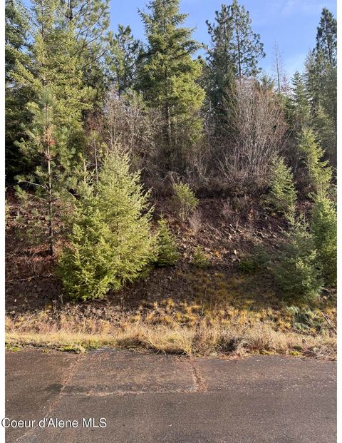 Vacant Land For Sale - L15b1 Johnson Meadows Estates Estates<br/> Harrison, ID 83833