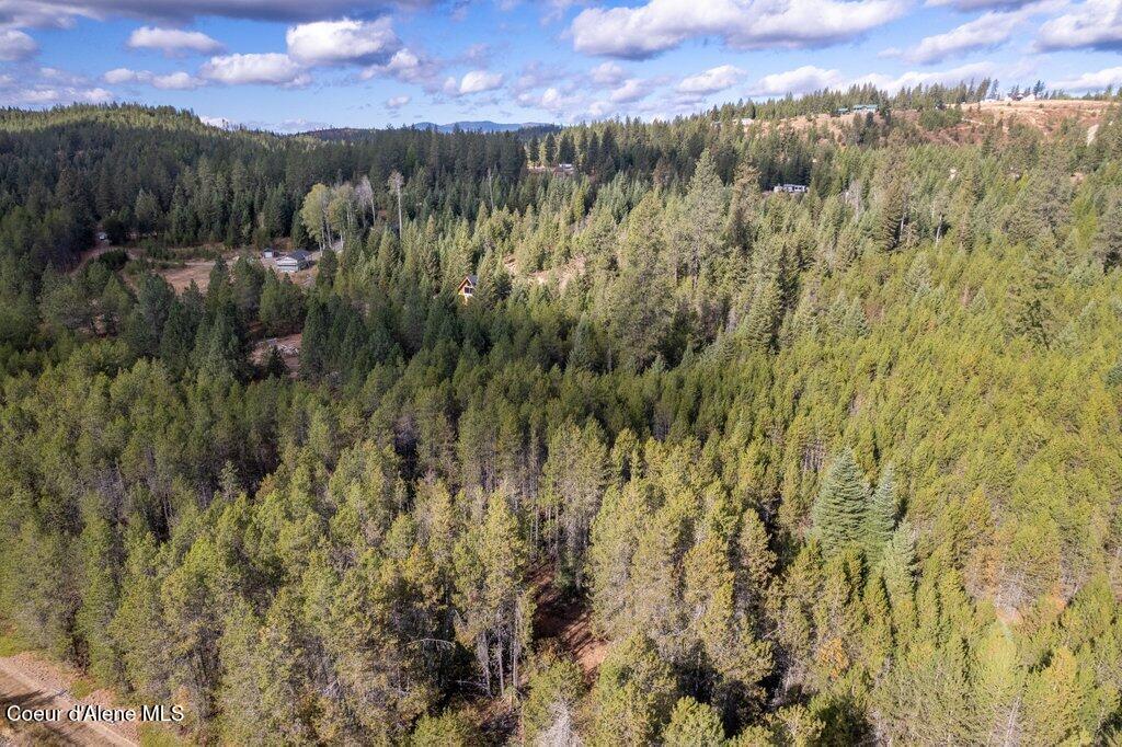 Lot 5 Grand Fir Dr, Athol, Alaska image 9