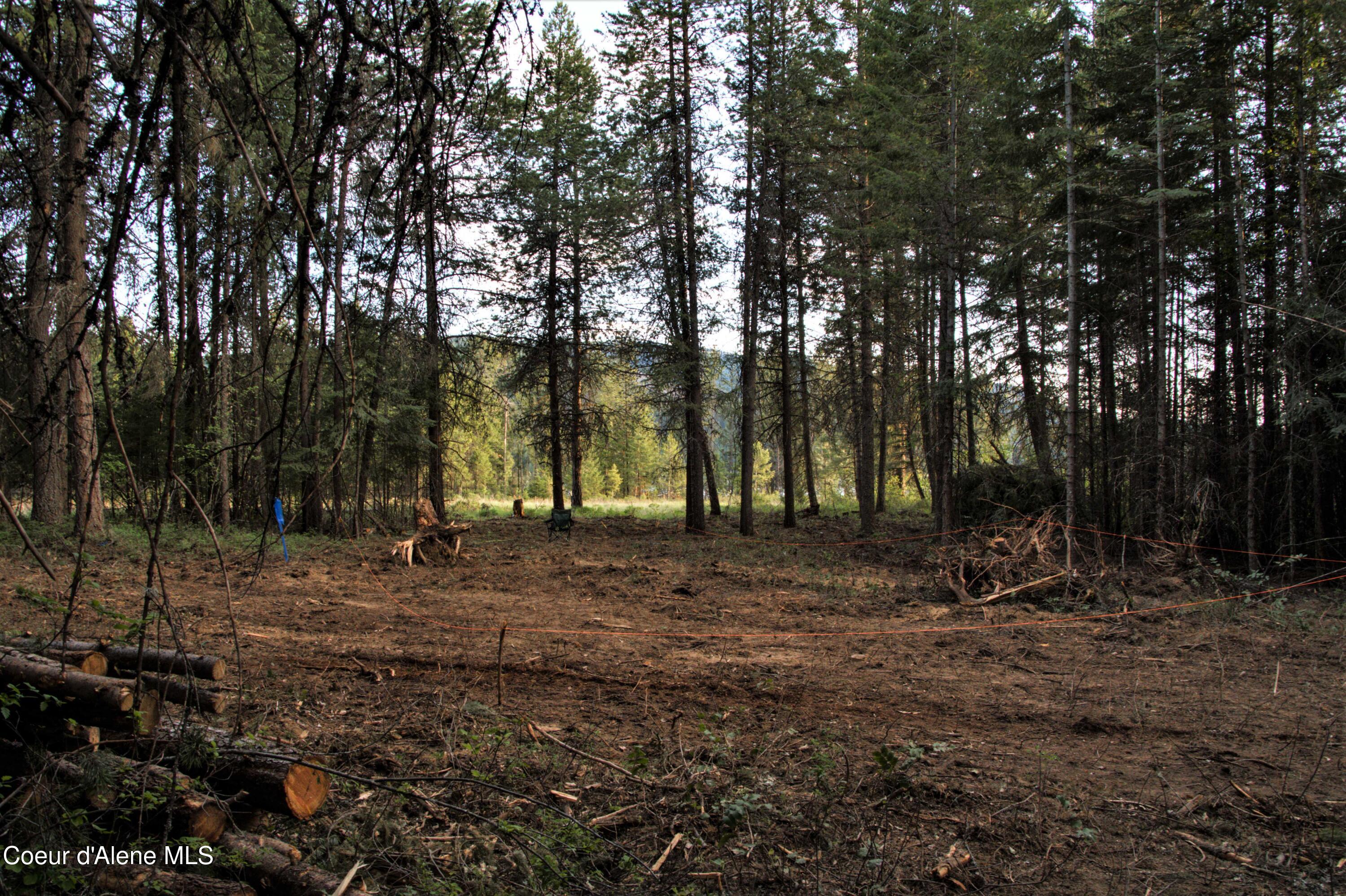 127 Lions Rd, Priest River, Alaska image 7