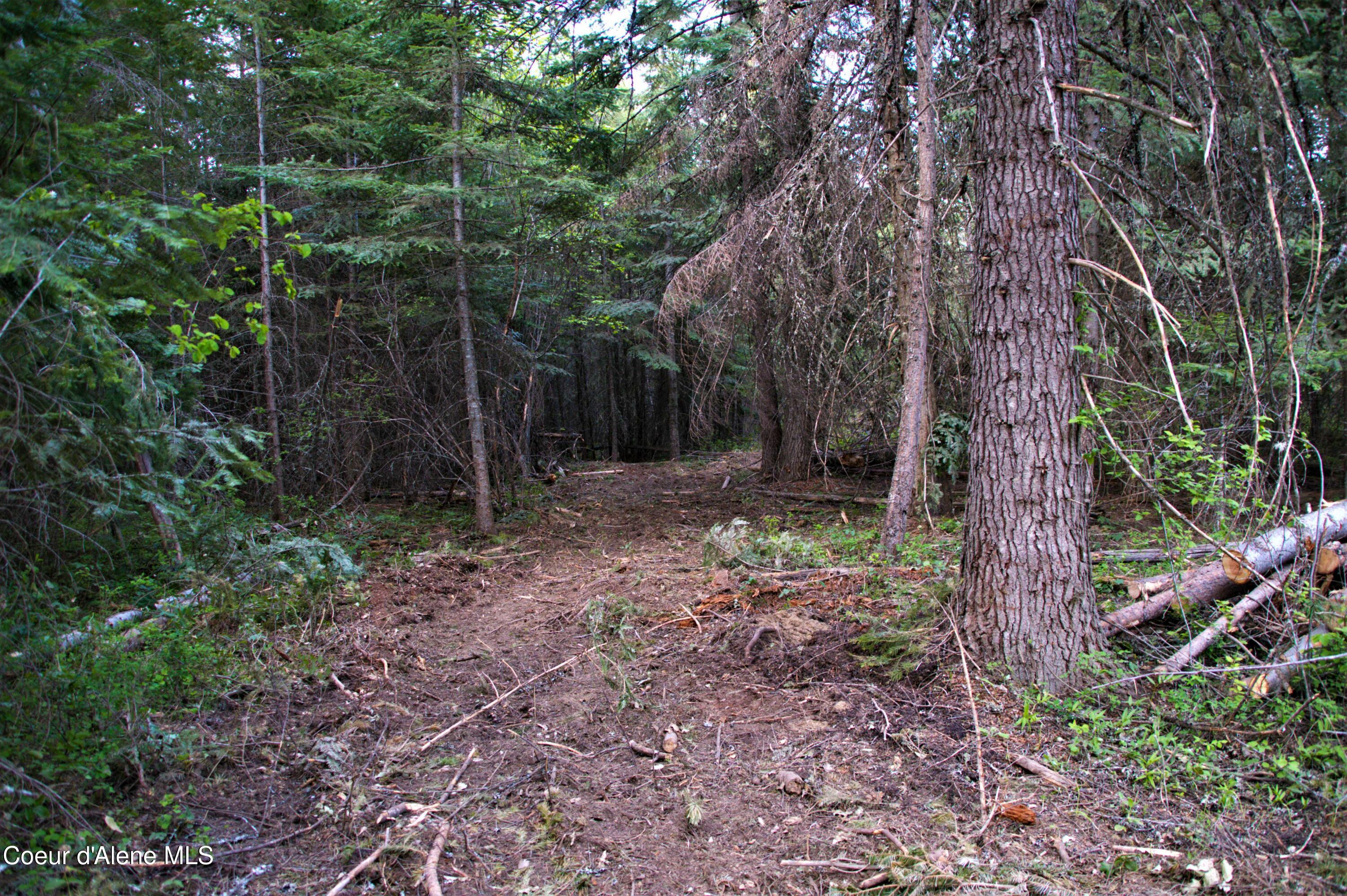 127 Lions Rd, Priest River, Alaska image 6