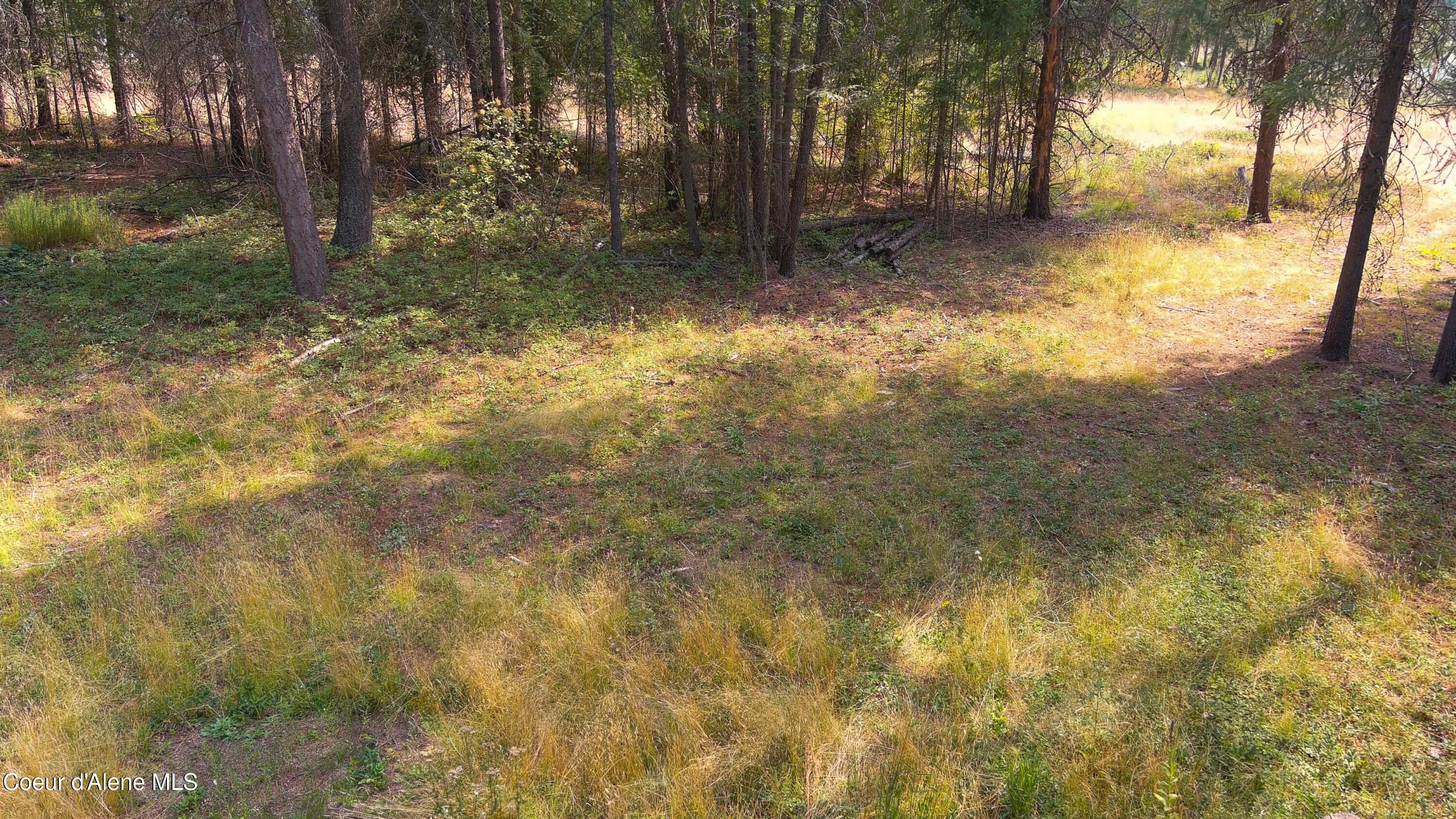 127 Lions Rd, Priest River, Alaska image 4