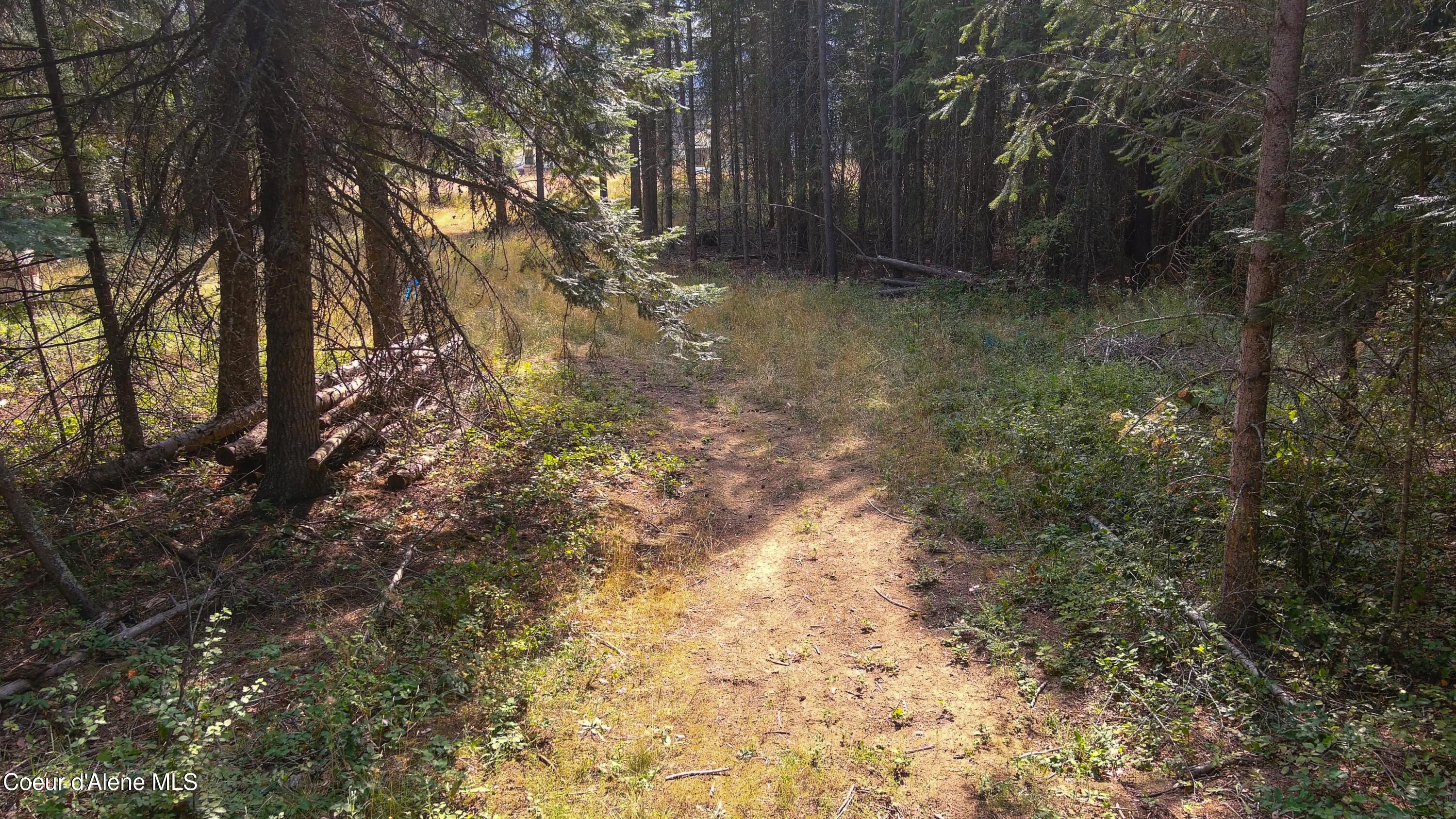 127 Lions Rd, Priest River, Alaska image 5