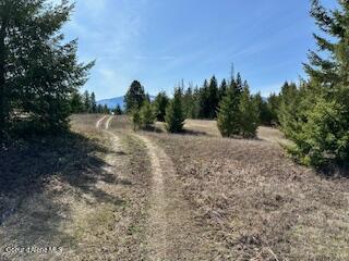 8 Splendor Mount Way Way, Bonners Ferry, Idaho image 17
