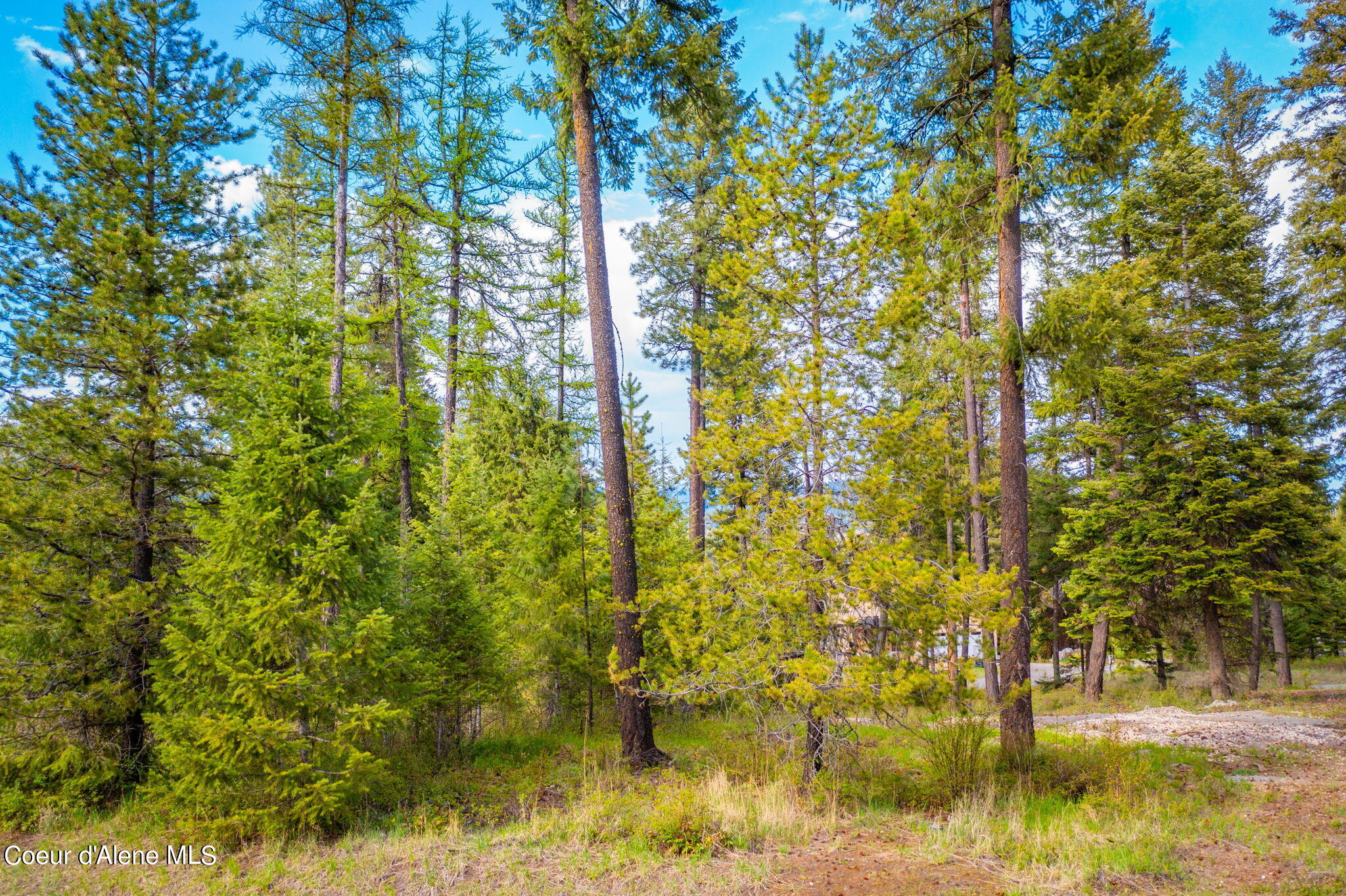 NKA Deeter Dr, Priest River, Idaho image 4