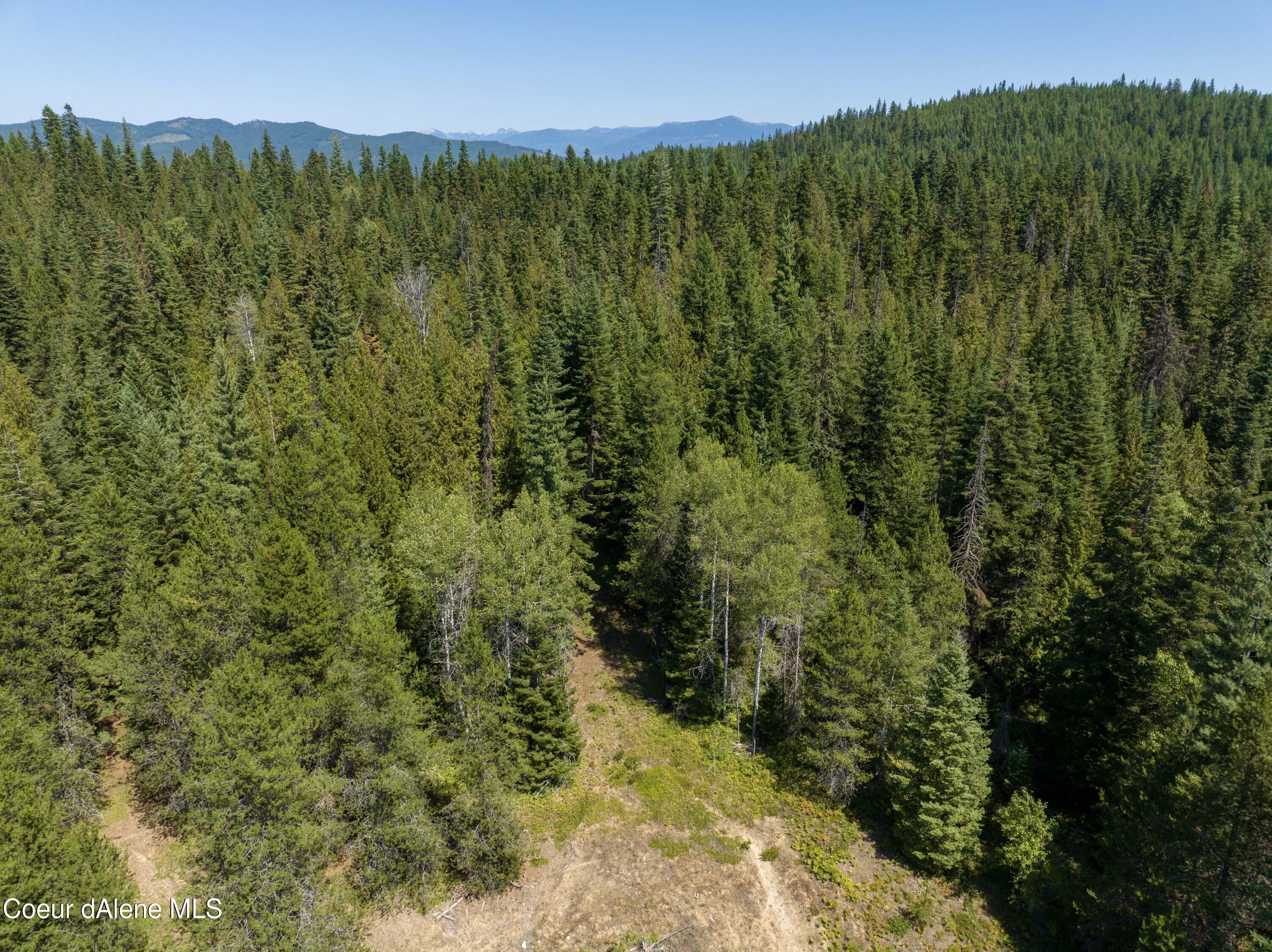 20acres Lamb Creek Rd, Priest Lake, Idaho image 8