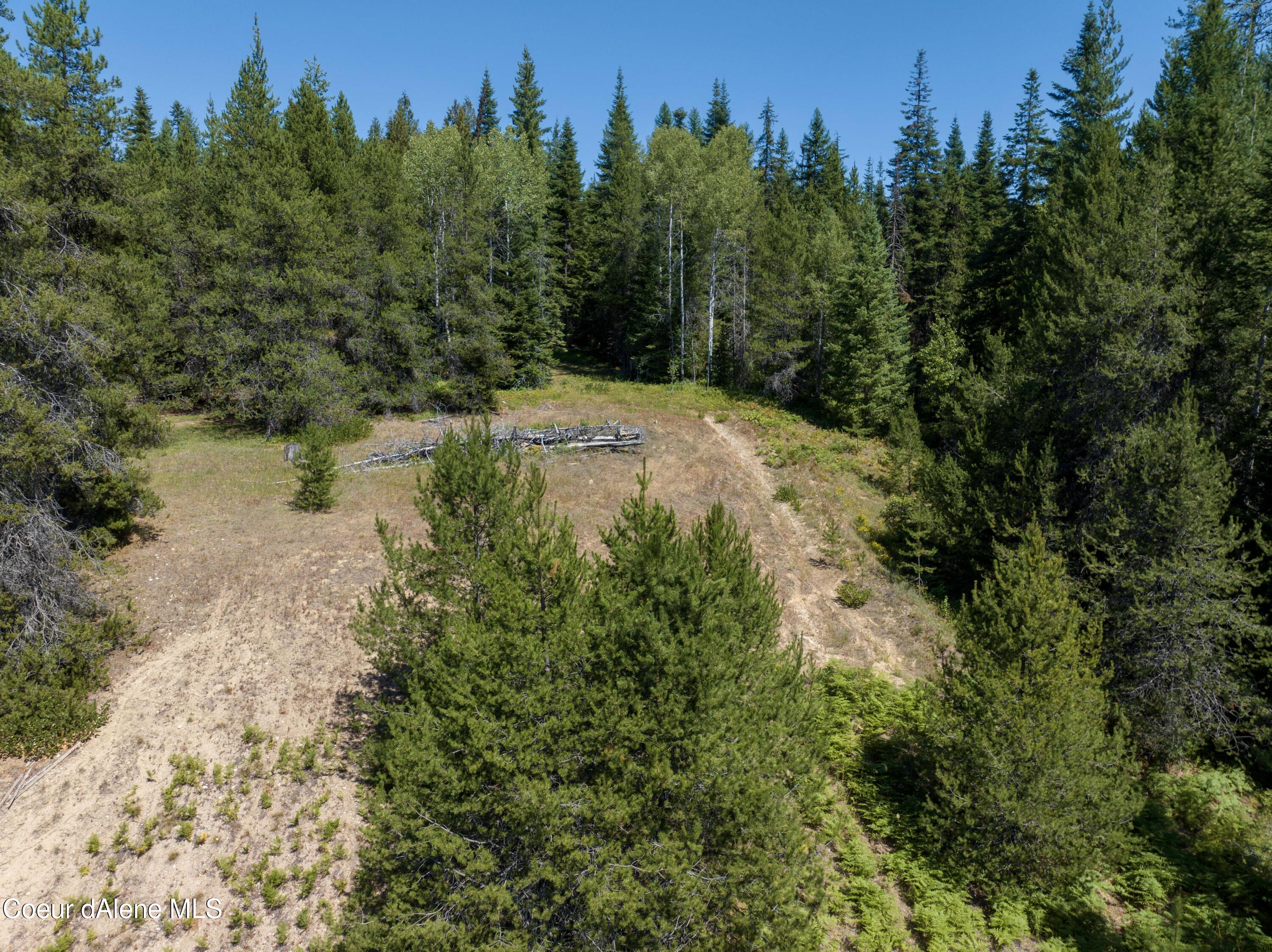 20acres Lamb Creek Rd, Priest Lake, Idaho image 7