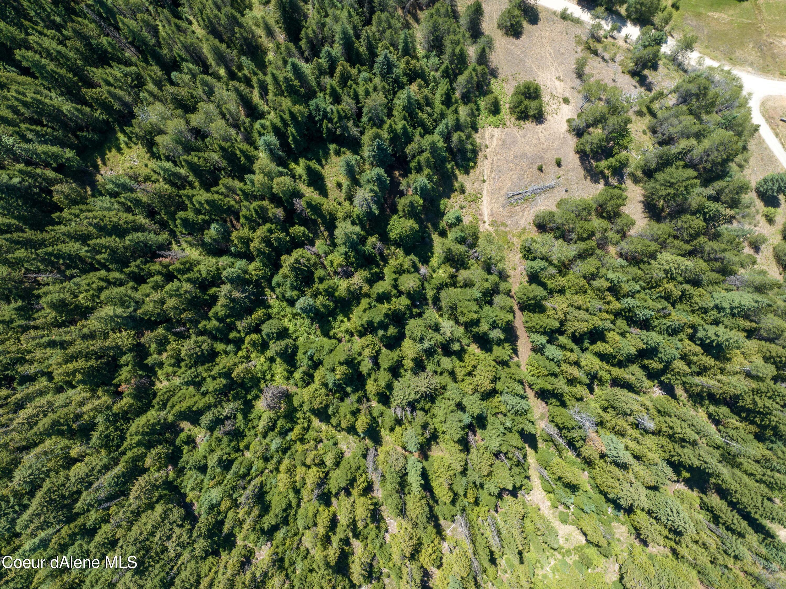 20acres Lamb Creek Rd, Priest Lake, Idaho image 6